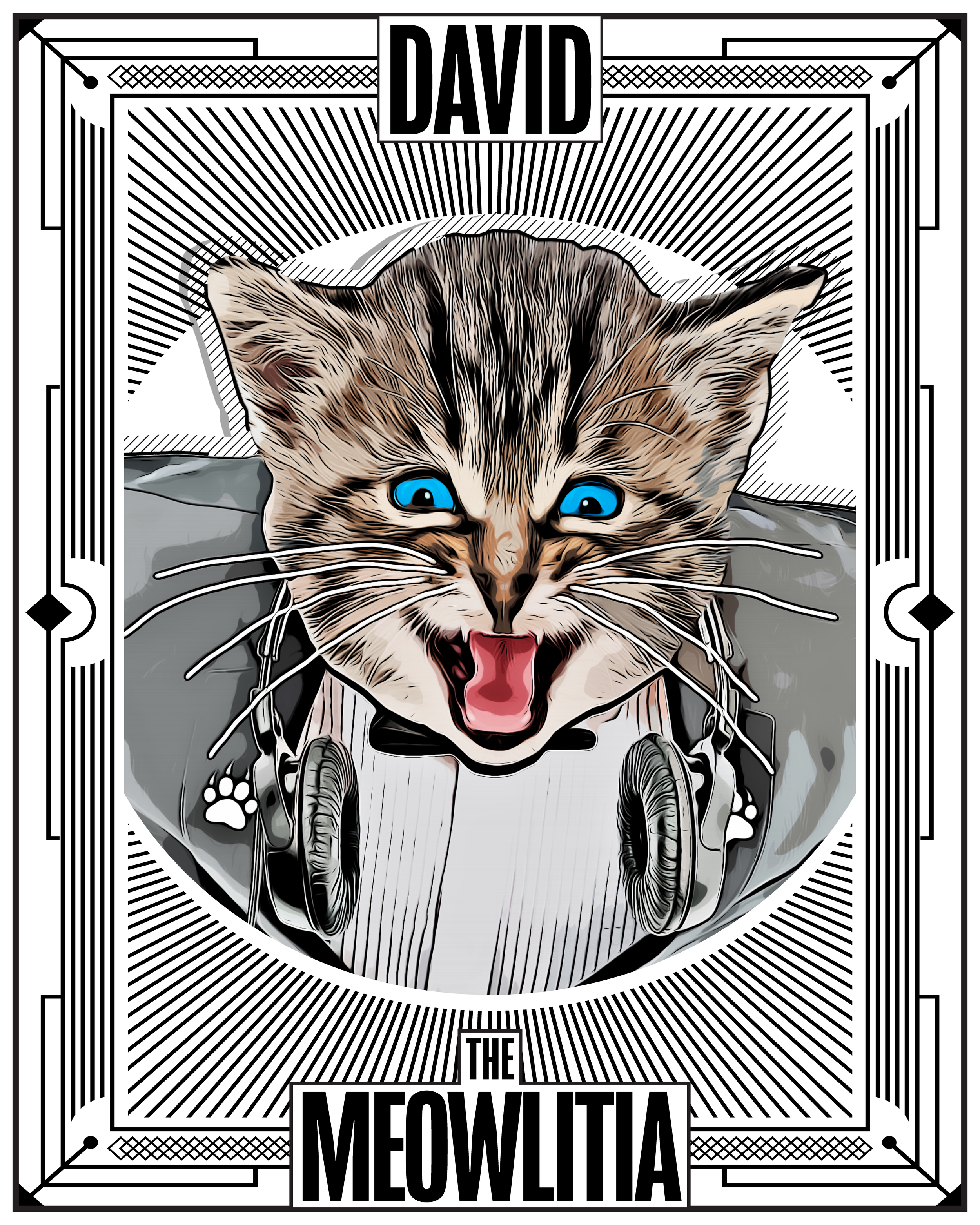 David Canon record from The Meowlitia