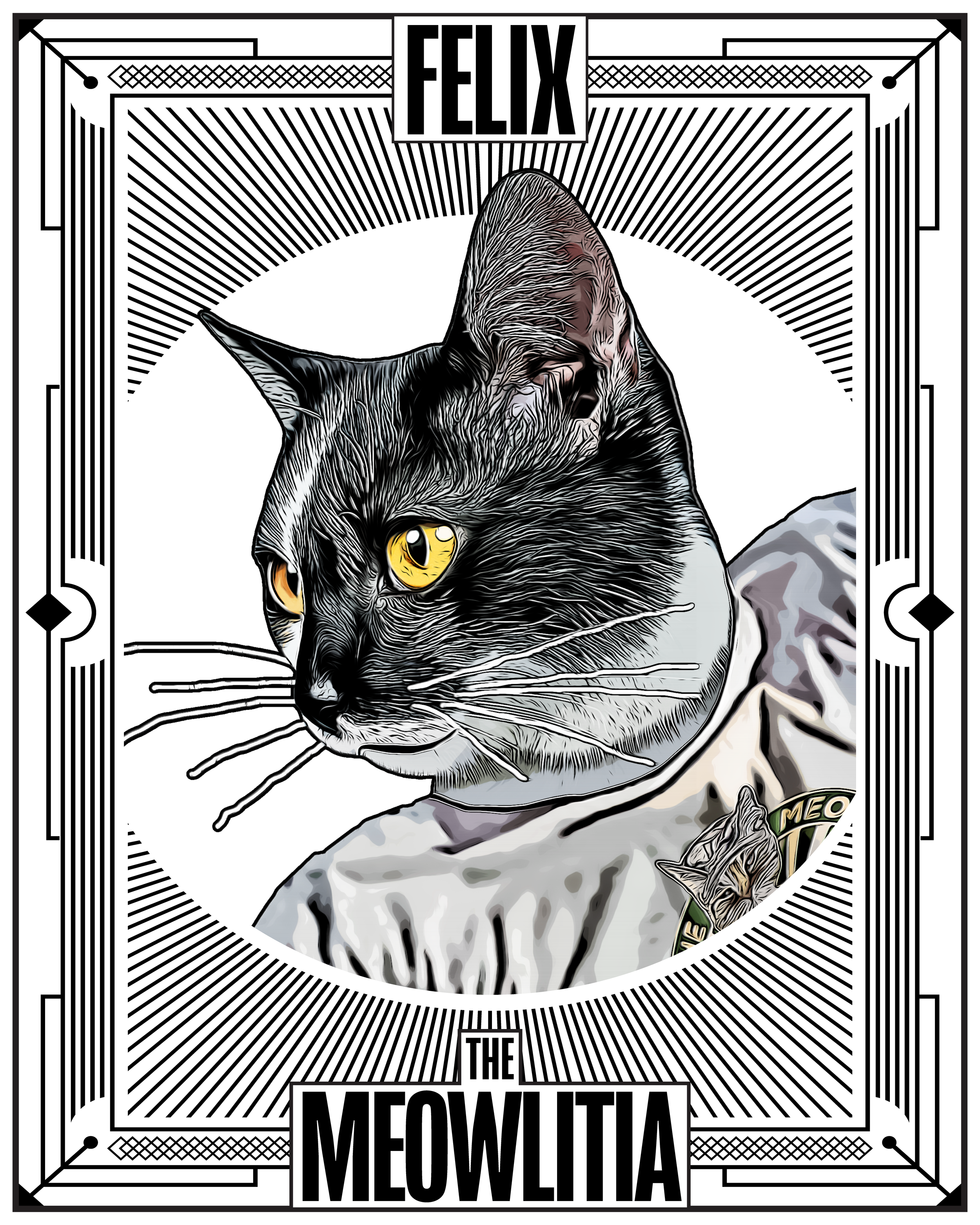 Felix Front-Side Crook Canon record from The Meowlitia