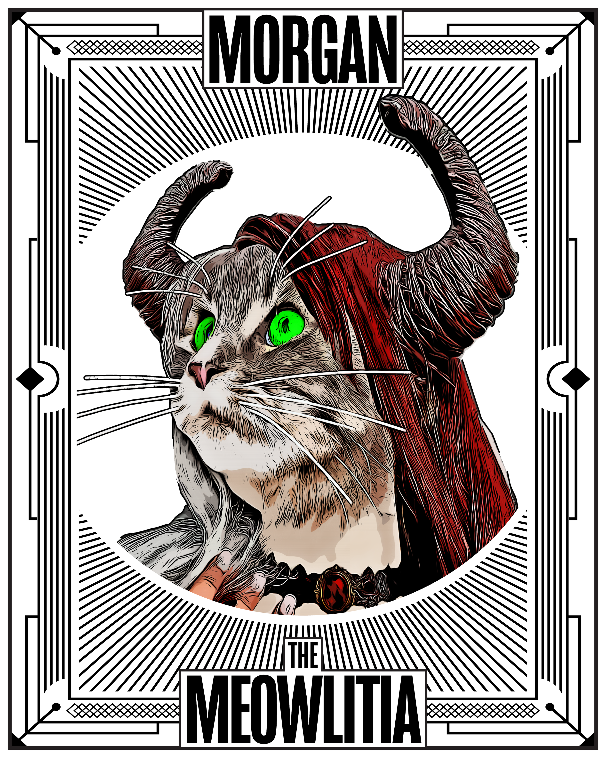 Morgan Canon record from The Meowlitia