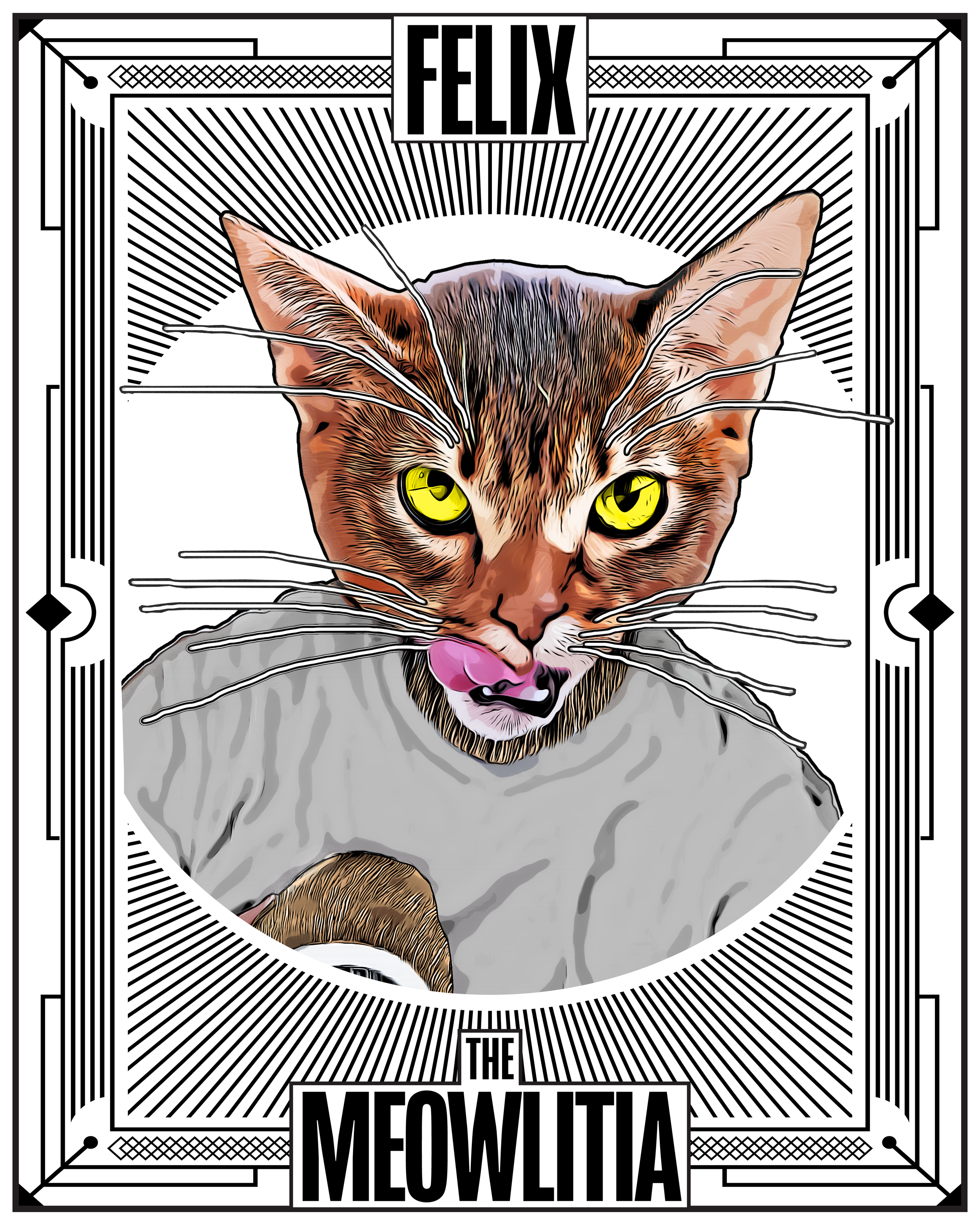 FELIX FRONT SIDE FELINE Canon record from The Meowlitia