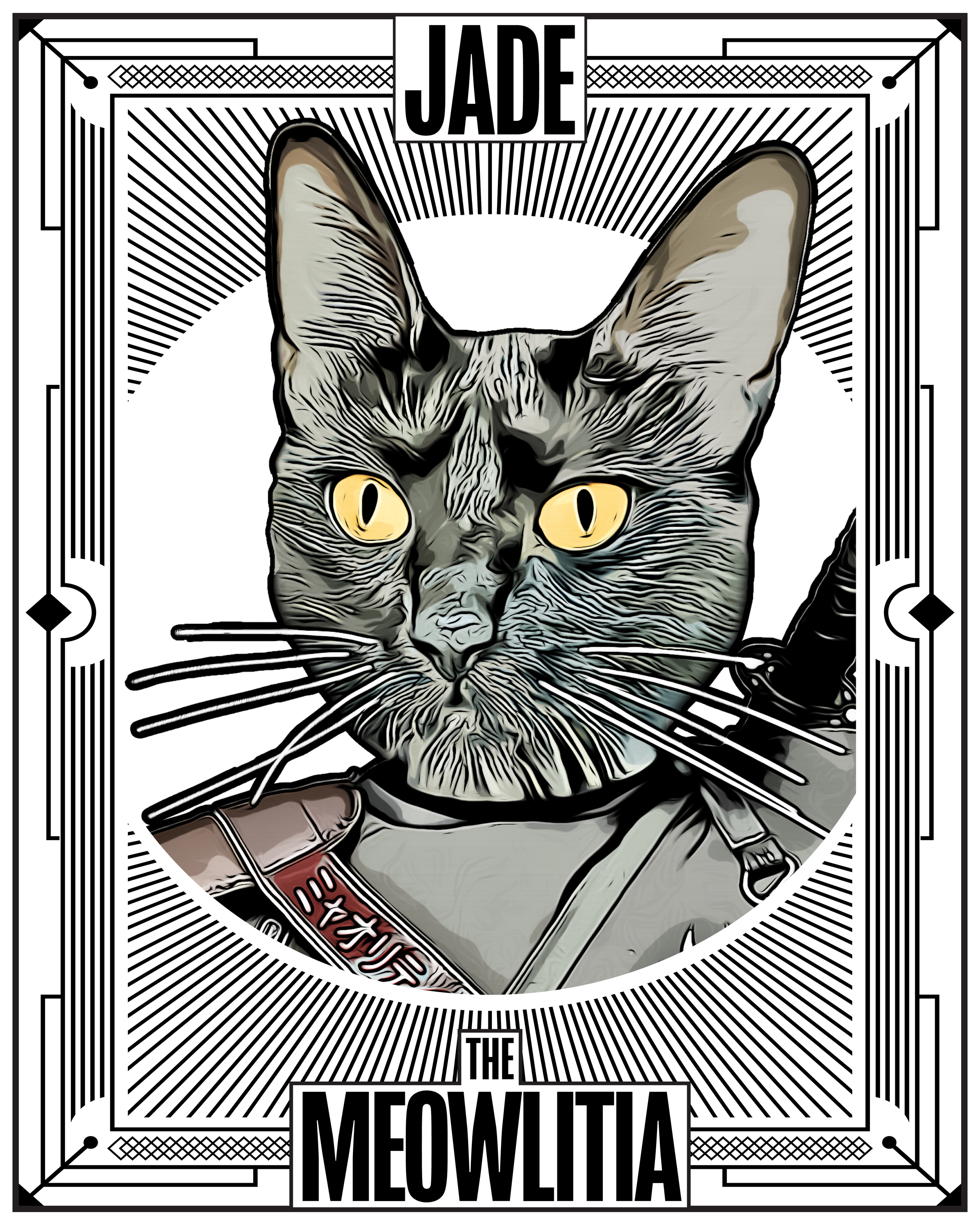 Jade the Ninja operational manifestation of Jade from The Meowlitia