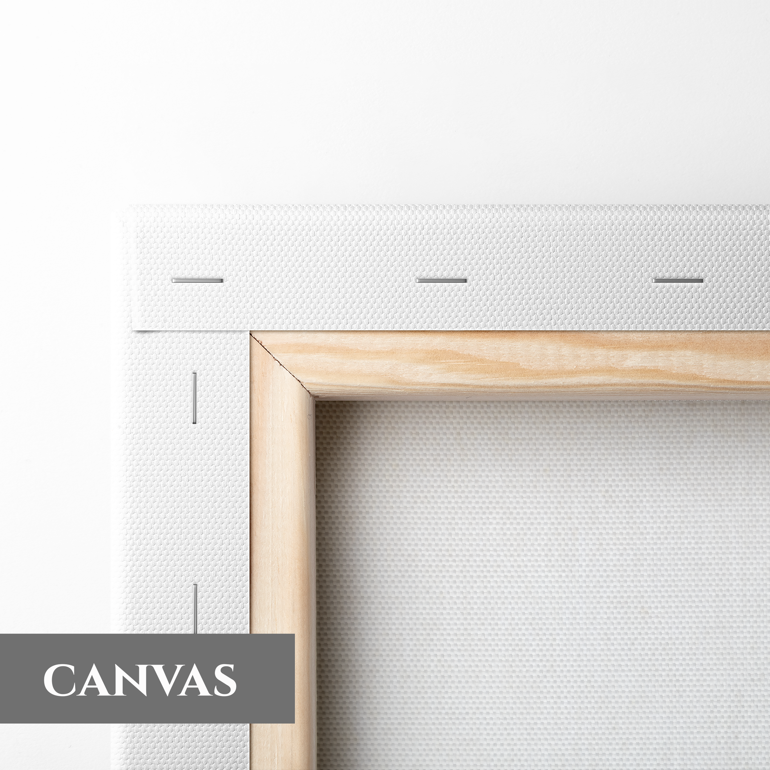 canvas back use.png