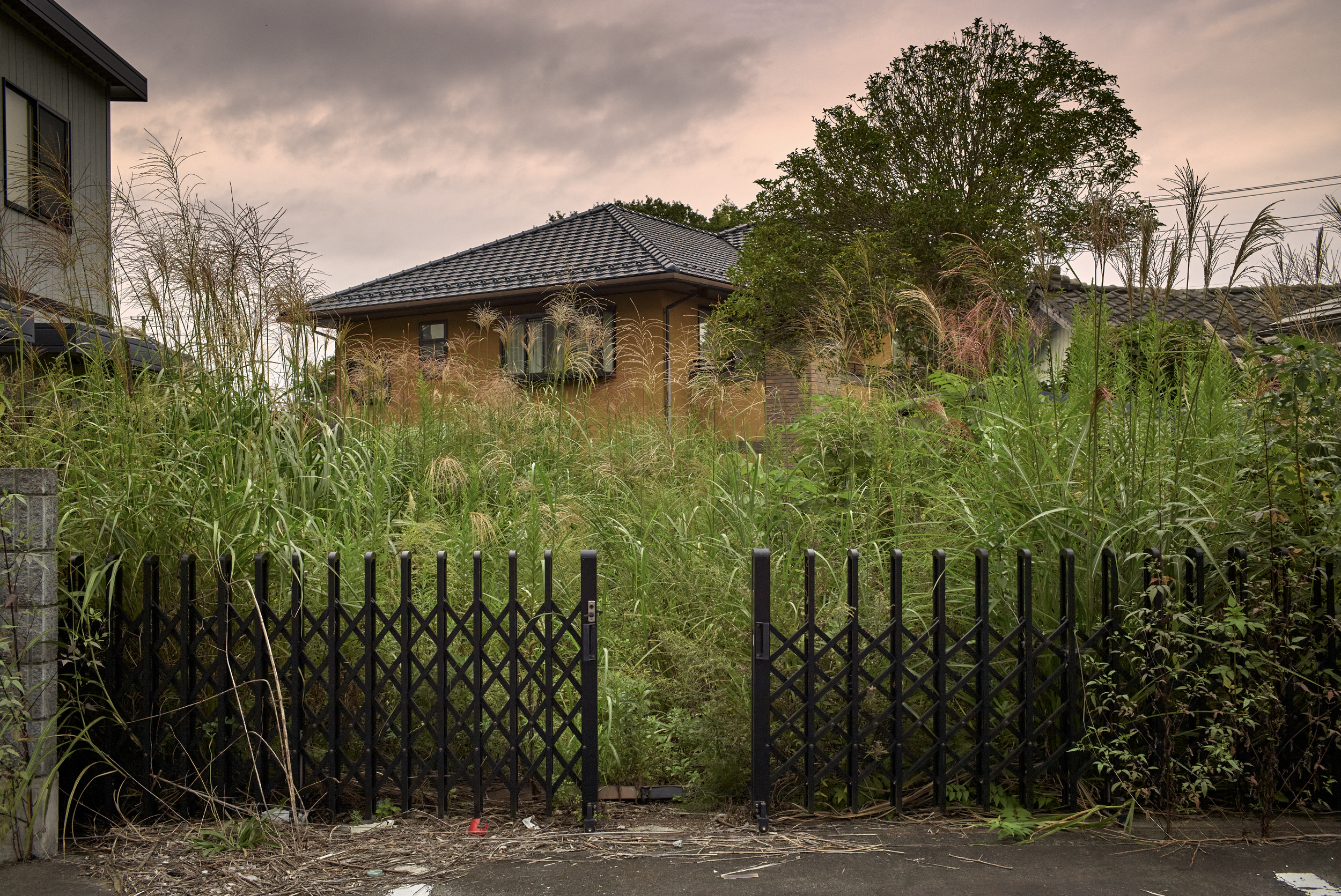 Screenshot 2026-04-01 at 15.54.42.png