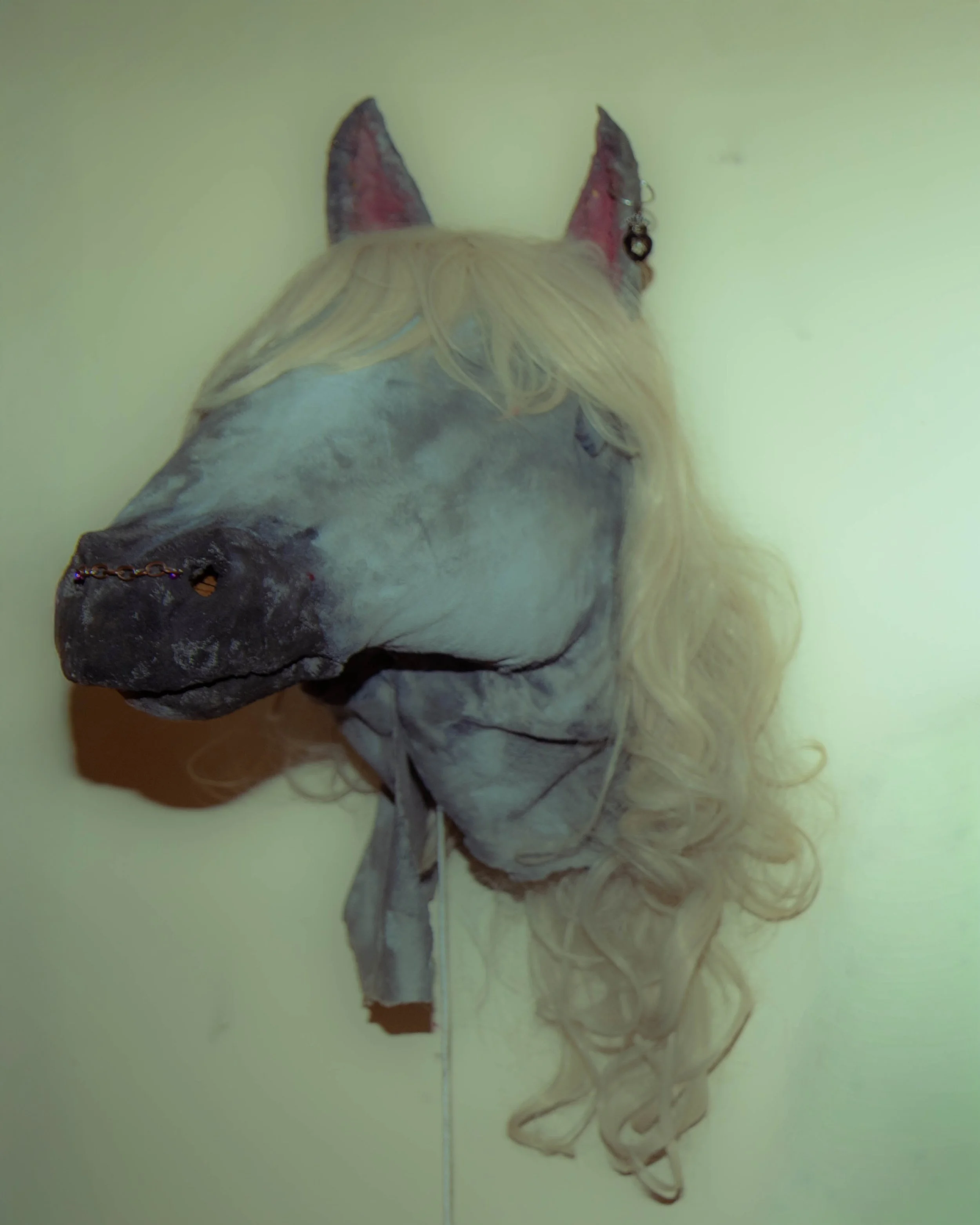Horse.JPG