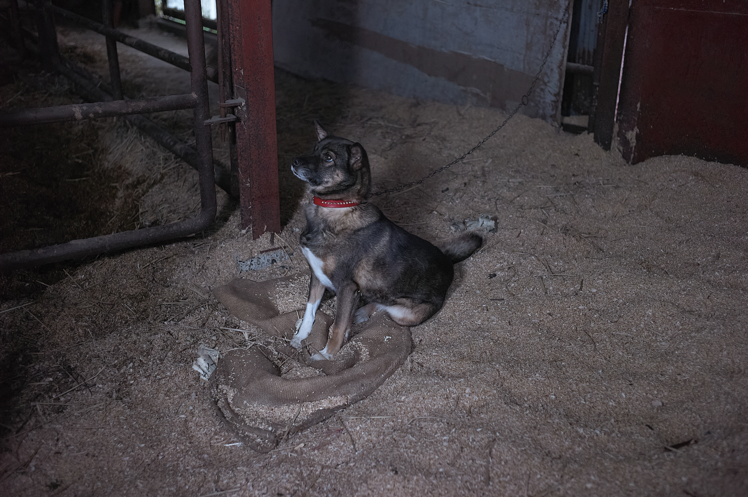 Screenshot 2026-04-01 at 16.58.42.png