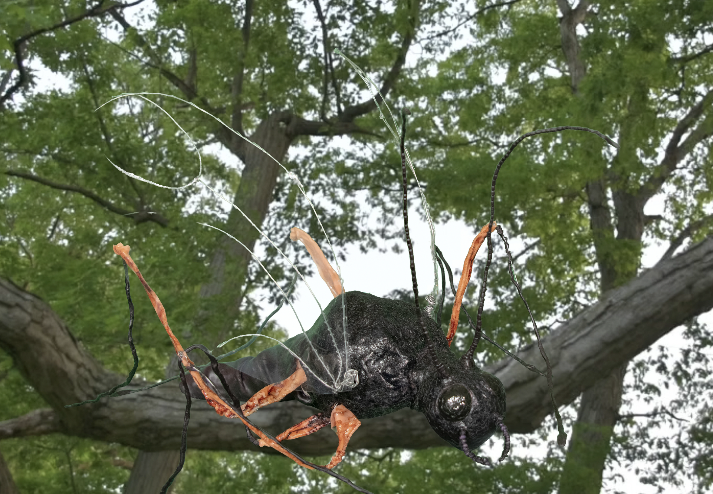 Screenshot 2026-04-13 at 15.53.03.png