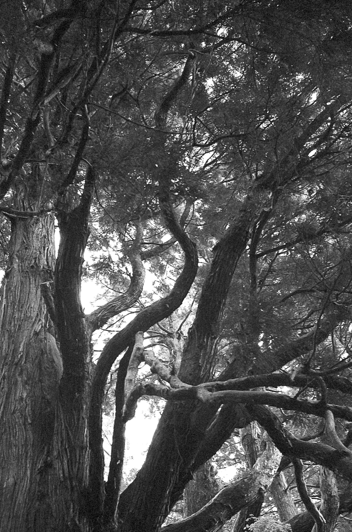 Screenshot 2026-04-01 at 16.59.43.png