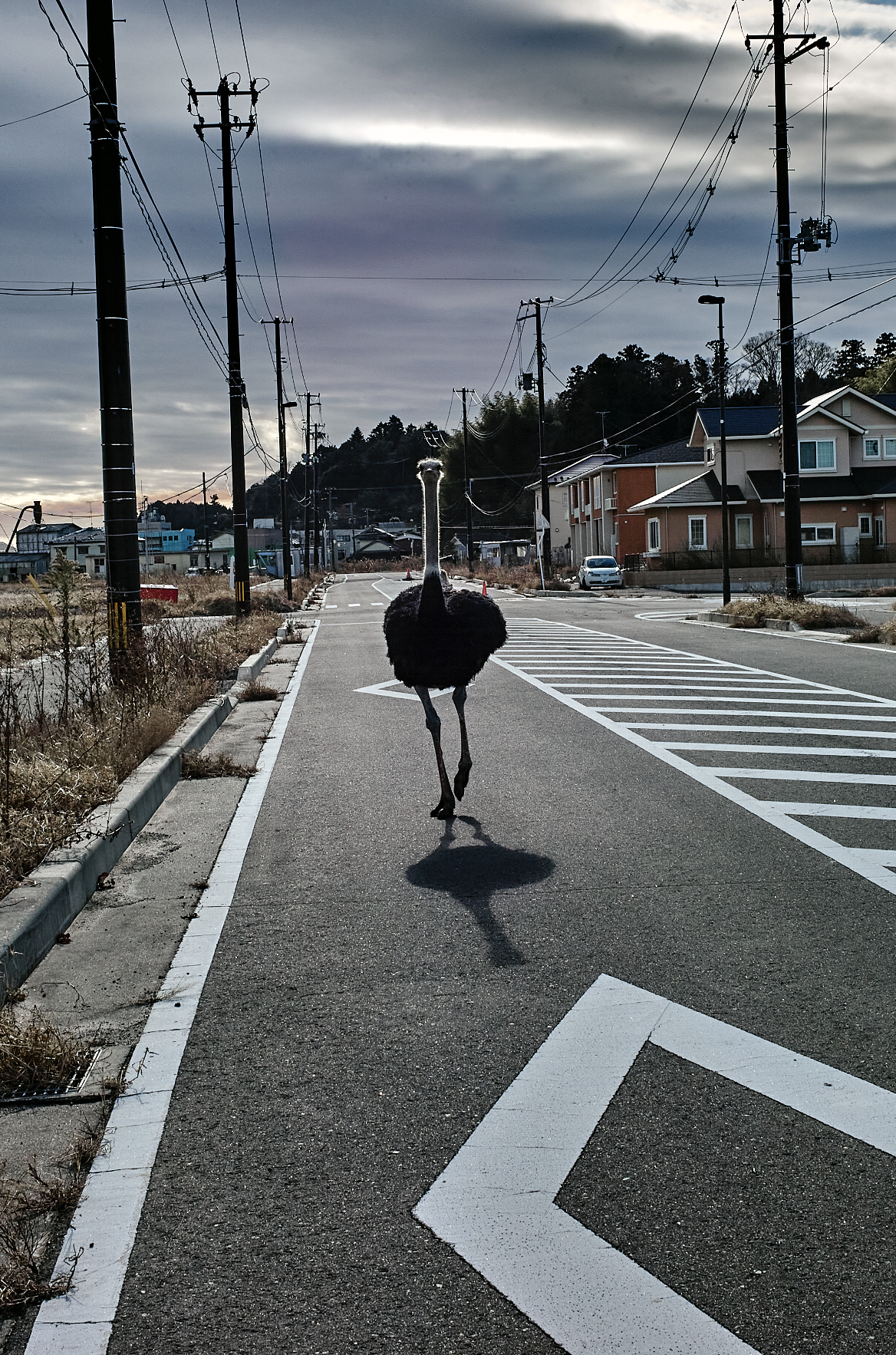 Screenshot 2026-04-01 at 17.00.12.png