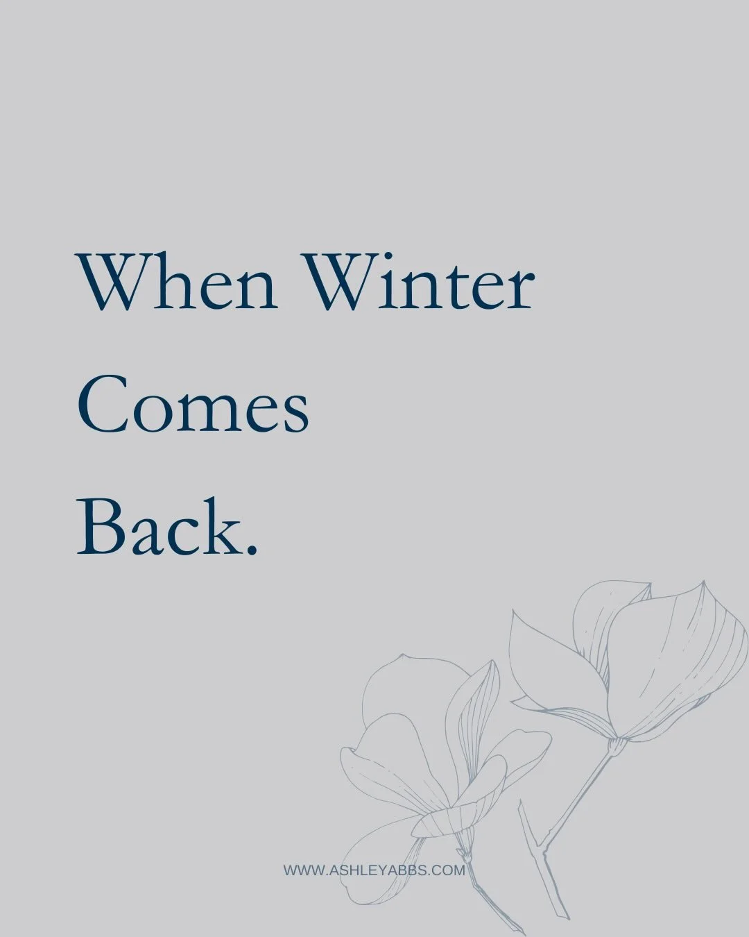 February came back with snow this week.
Just when it felt like we were done with winter &mdash; the cold returned. Ice underfoot. A second winter settling back in.

My first instinct was to call it regression.

But seasons don&rsquo;t move in straigh
