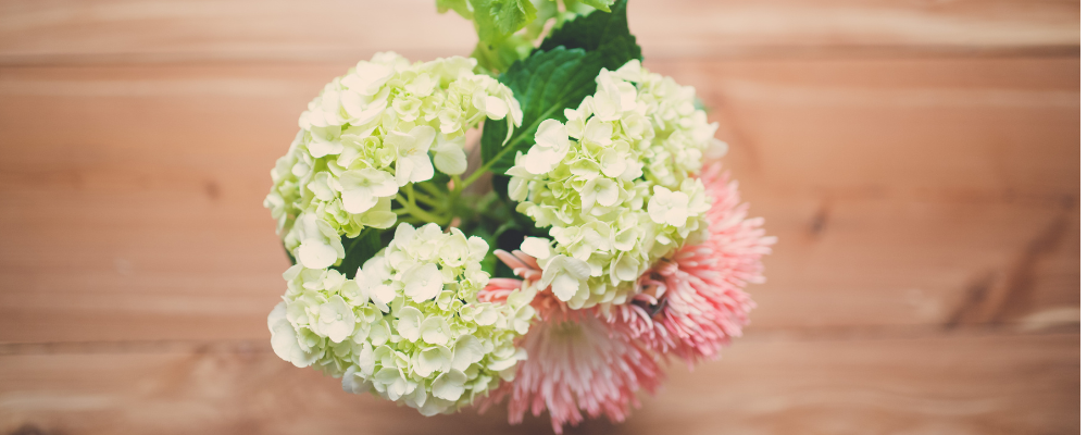 Beautiful flowers encapsulating beauty, life and the essence of nature's capacity to bloom.