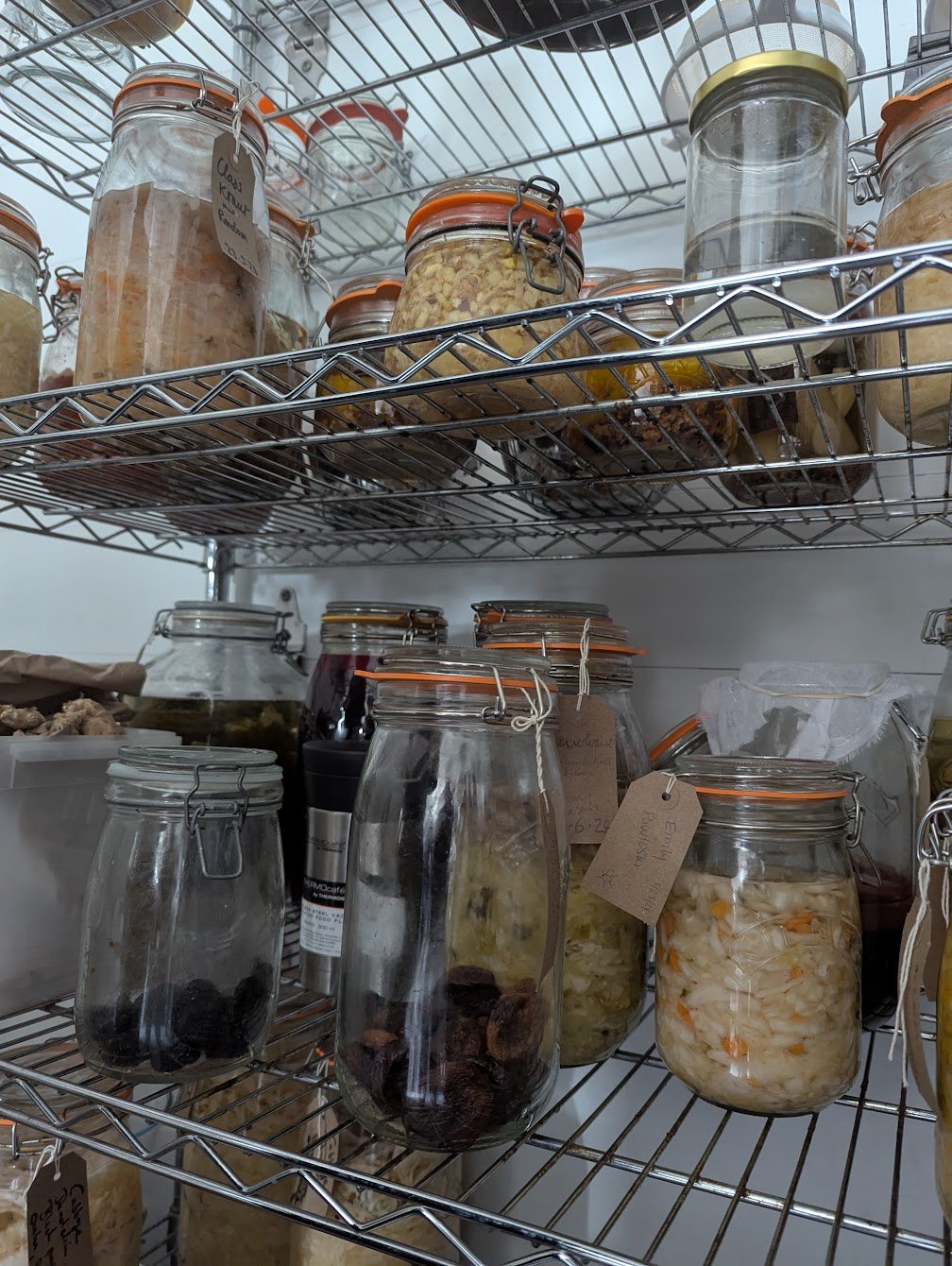 ferments.jpg