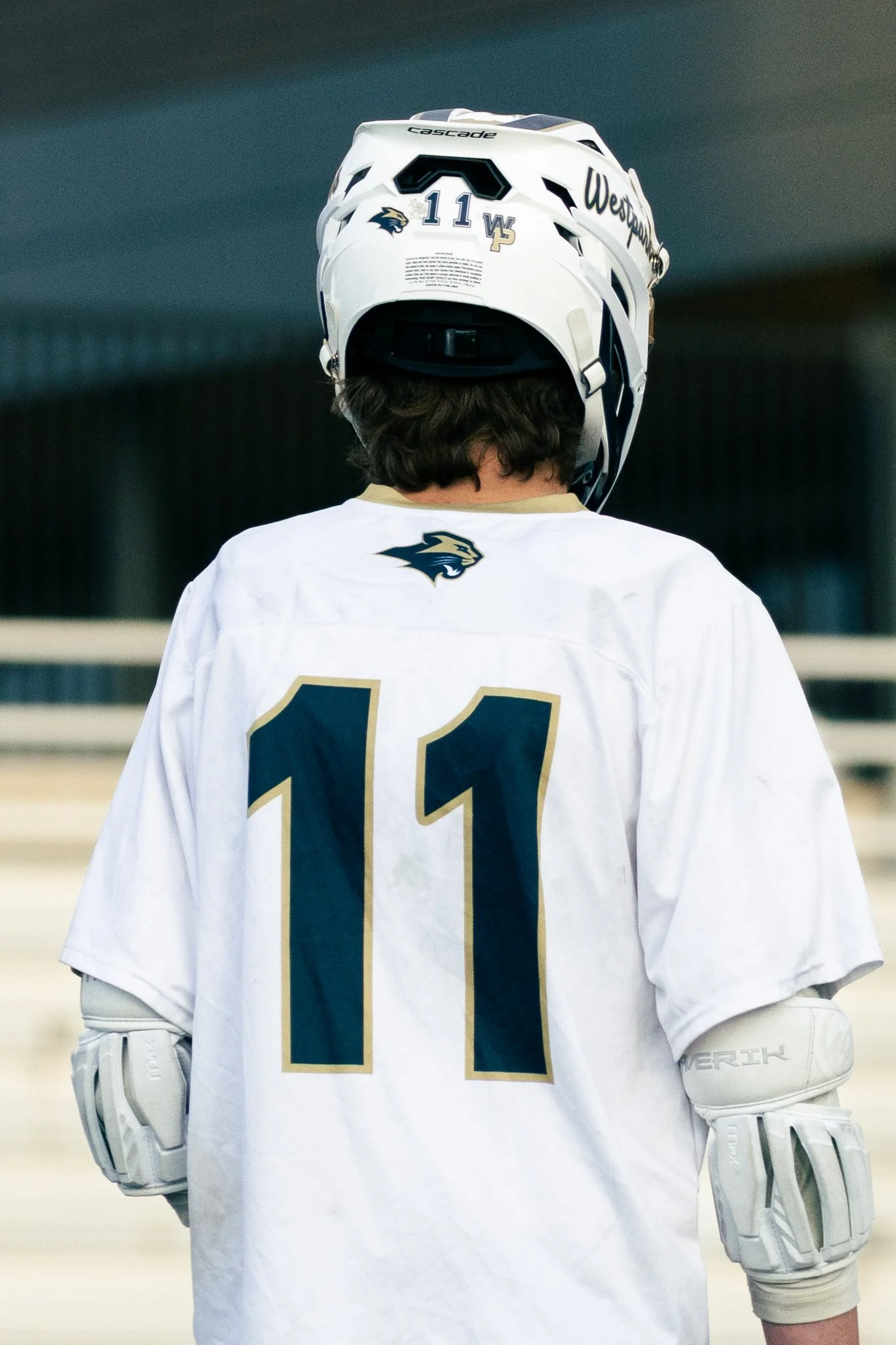FieldToSideline-3-2.jpg