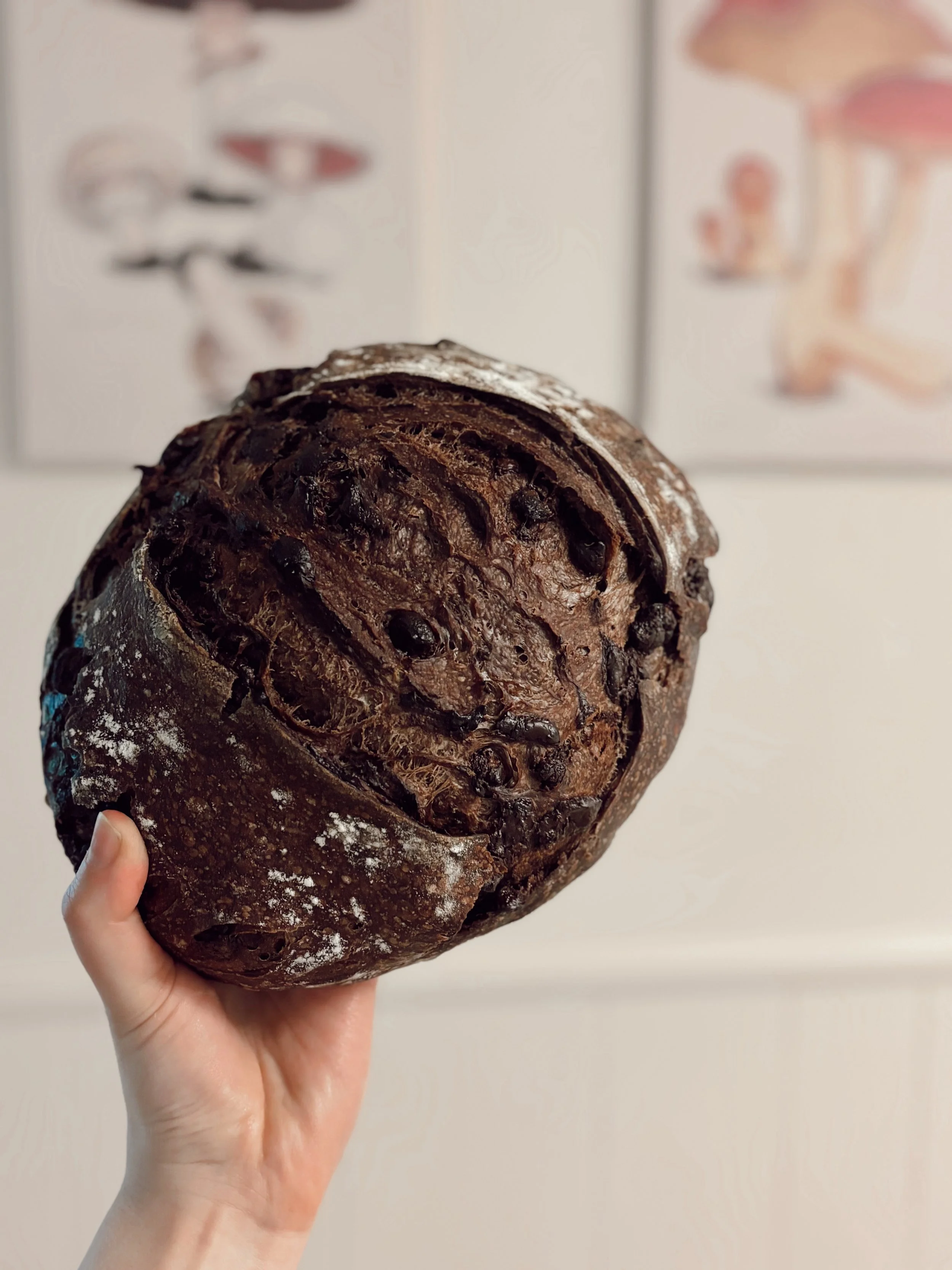 Hand holding a round loaf of dark bread with a rustic crust.