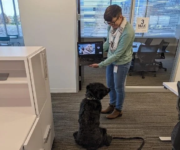 ZoomDogCollab.jpg