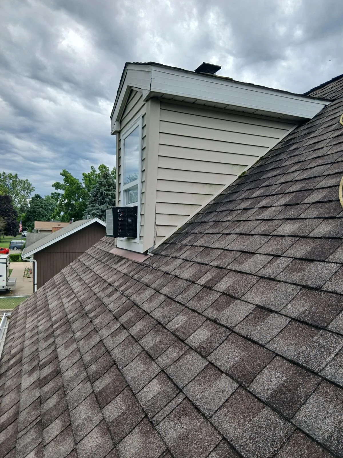 shingles 2.JPG