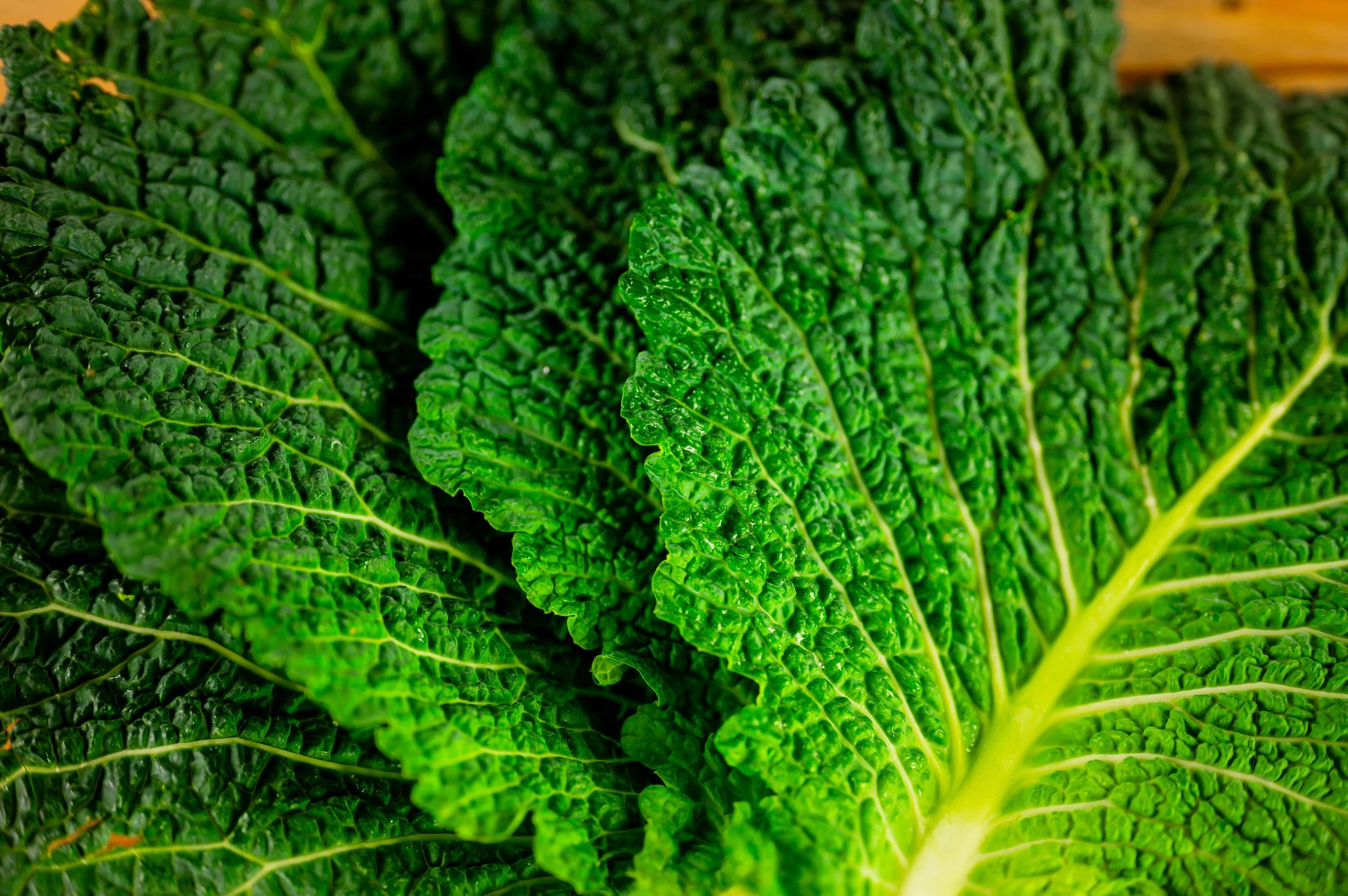 KK bar mleczny-23.jpg