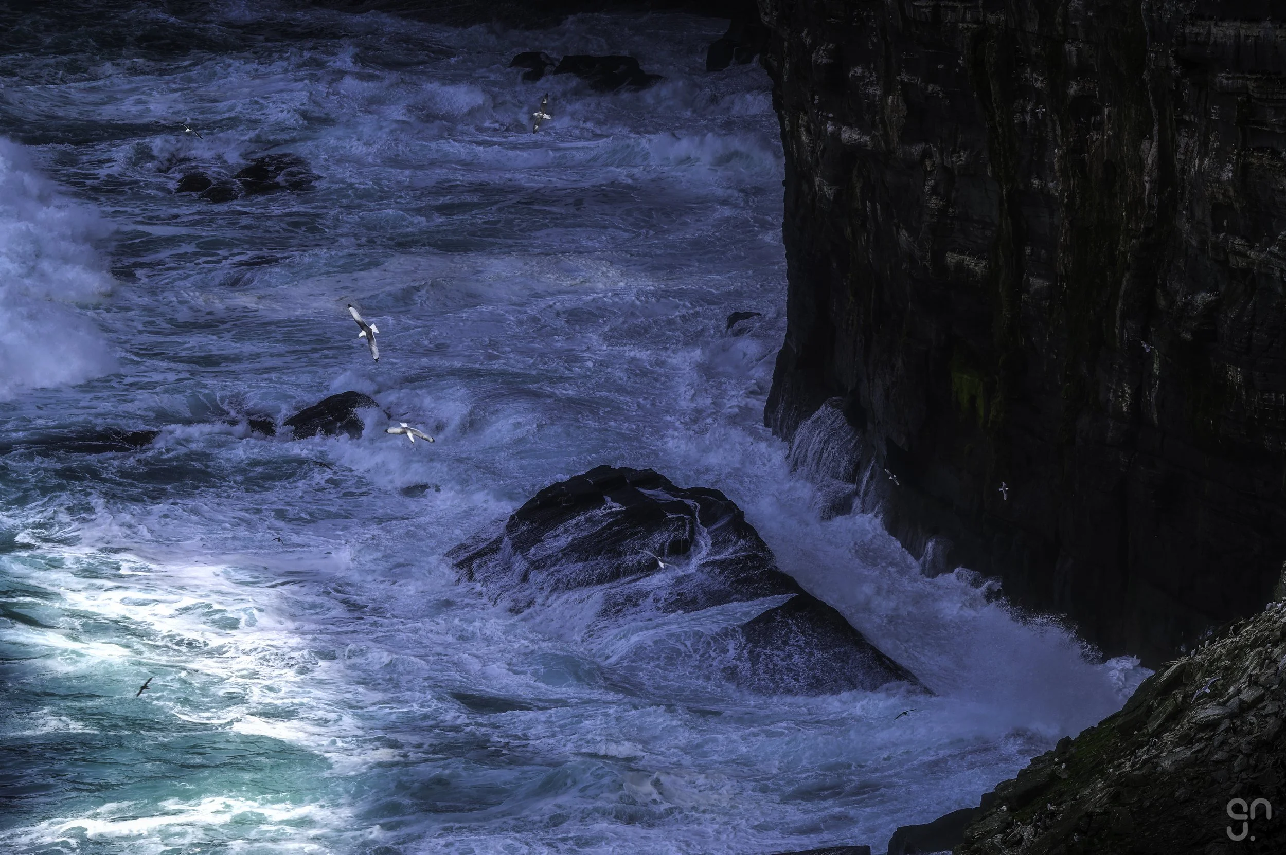 DSC_5230-ready.jpg