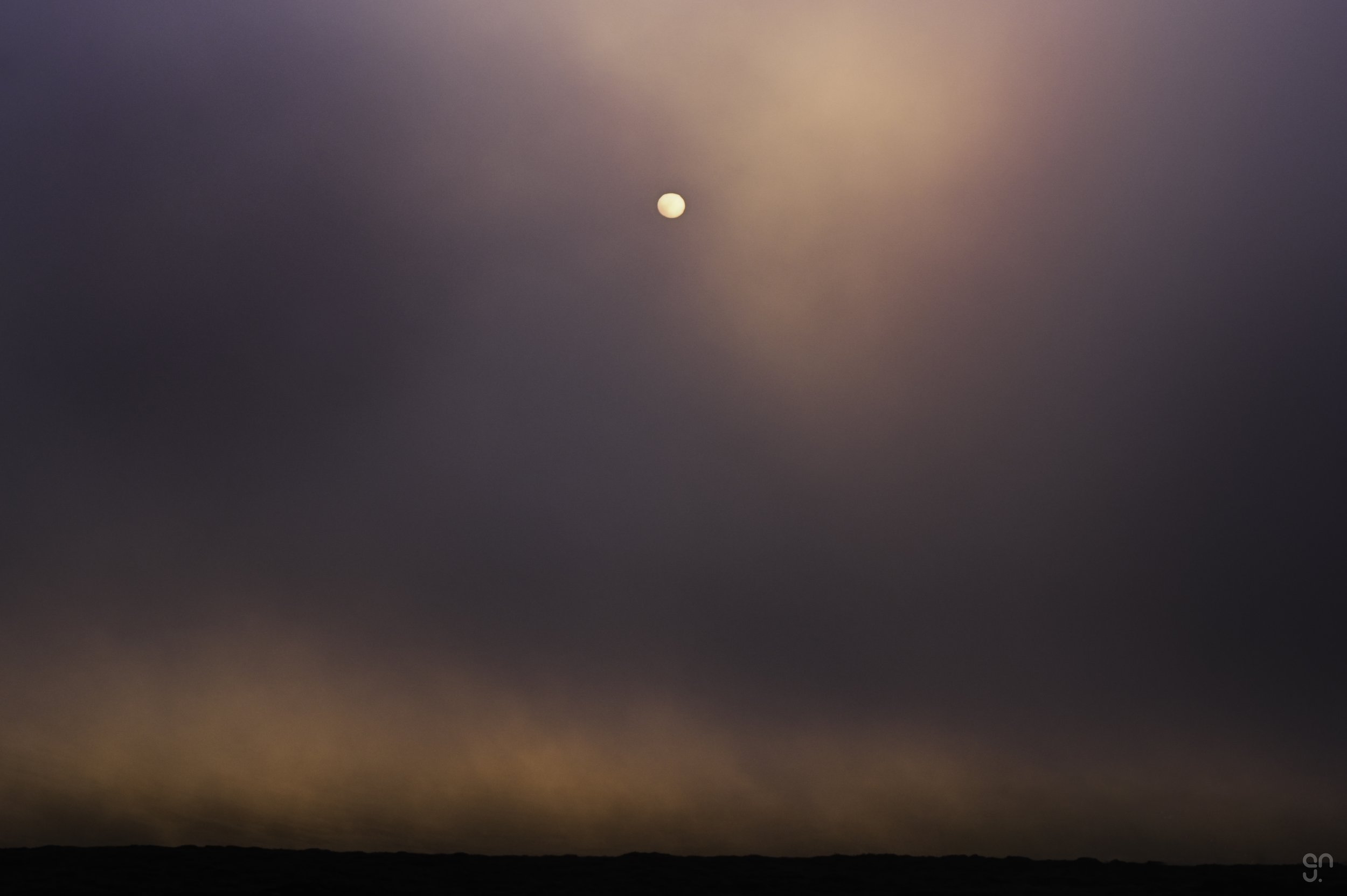 DSC_7540-Edit copy.jpg