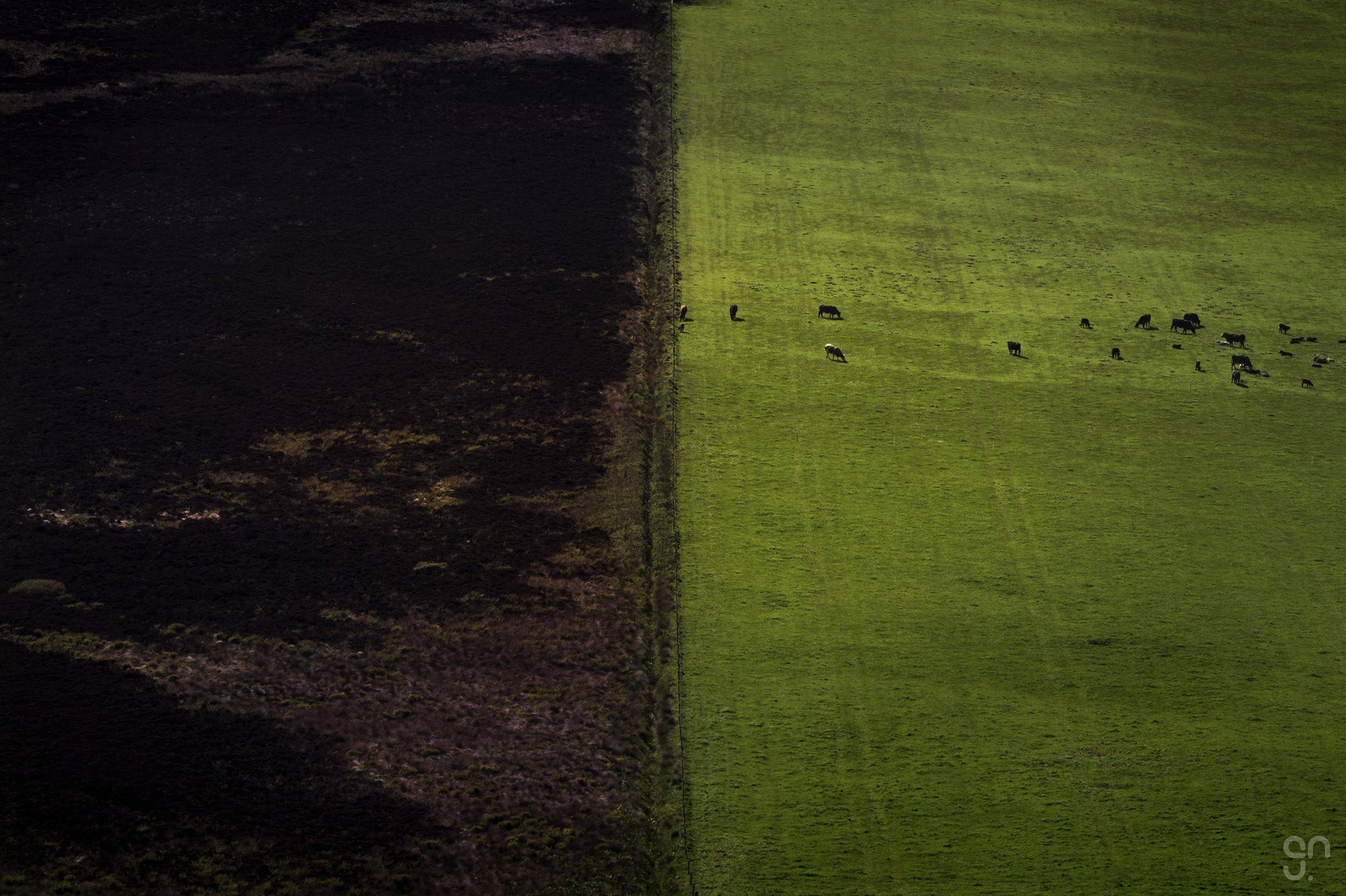 DSC_6827-Edit copy.jpg