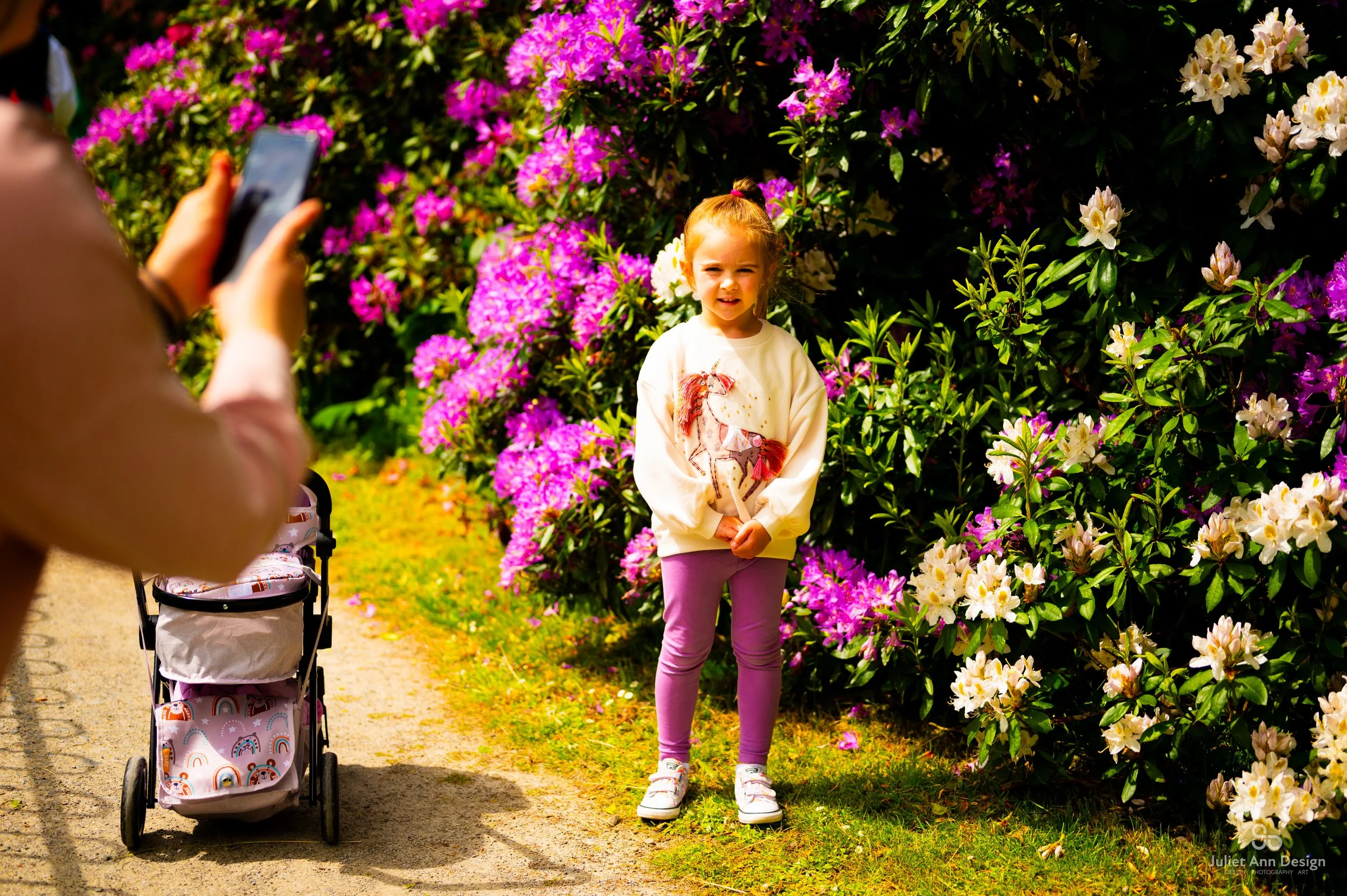 Mapa 2 Czerwiec 2024-323.jpg