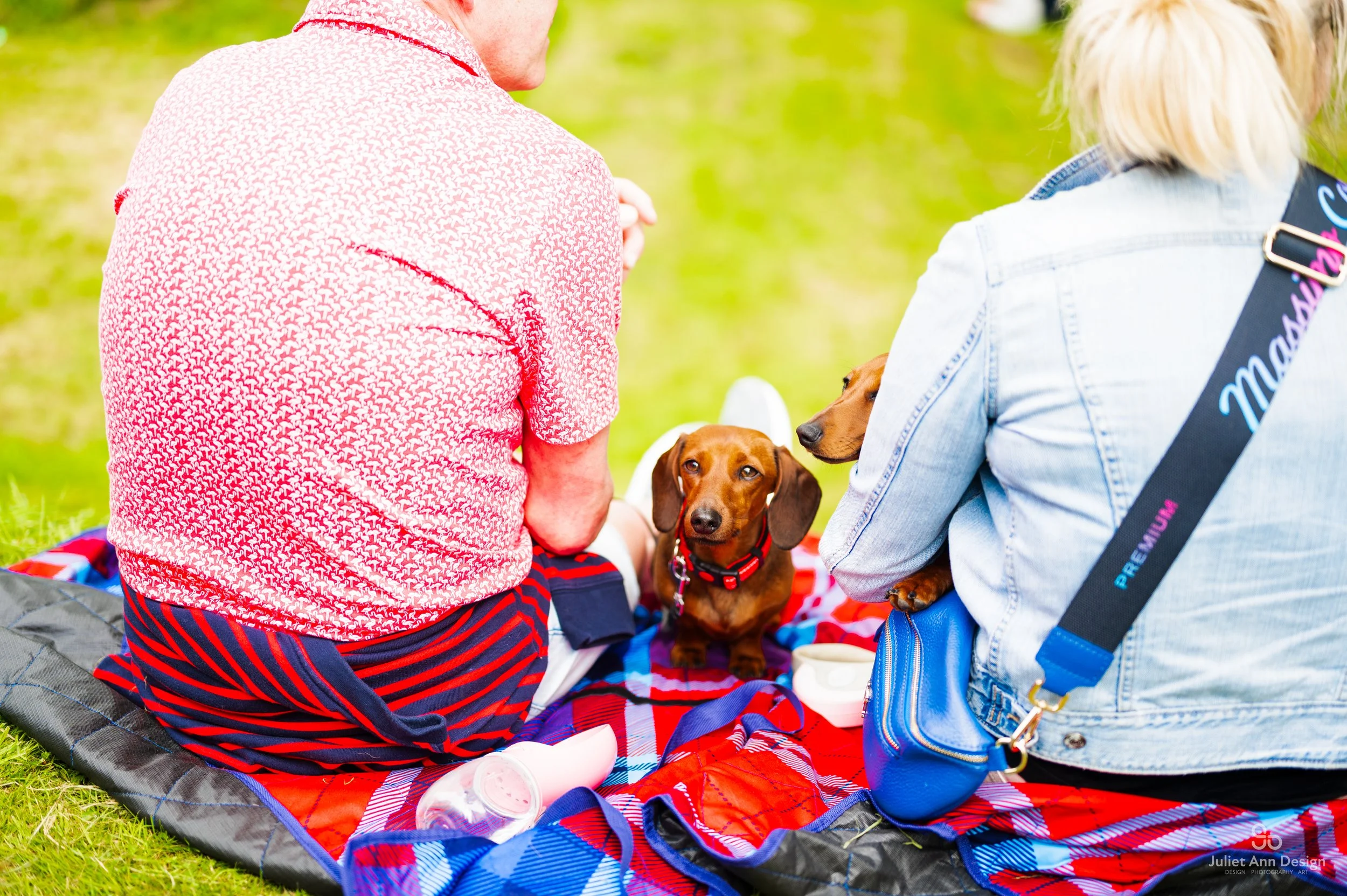 Mapa 2 Czerwiec 2024-227.jpg