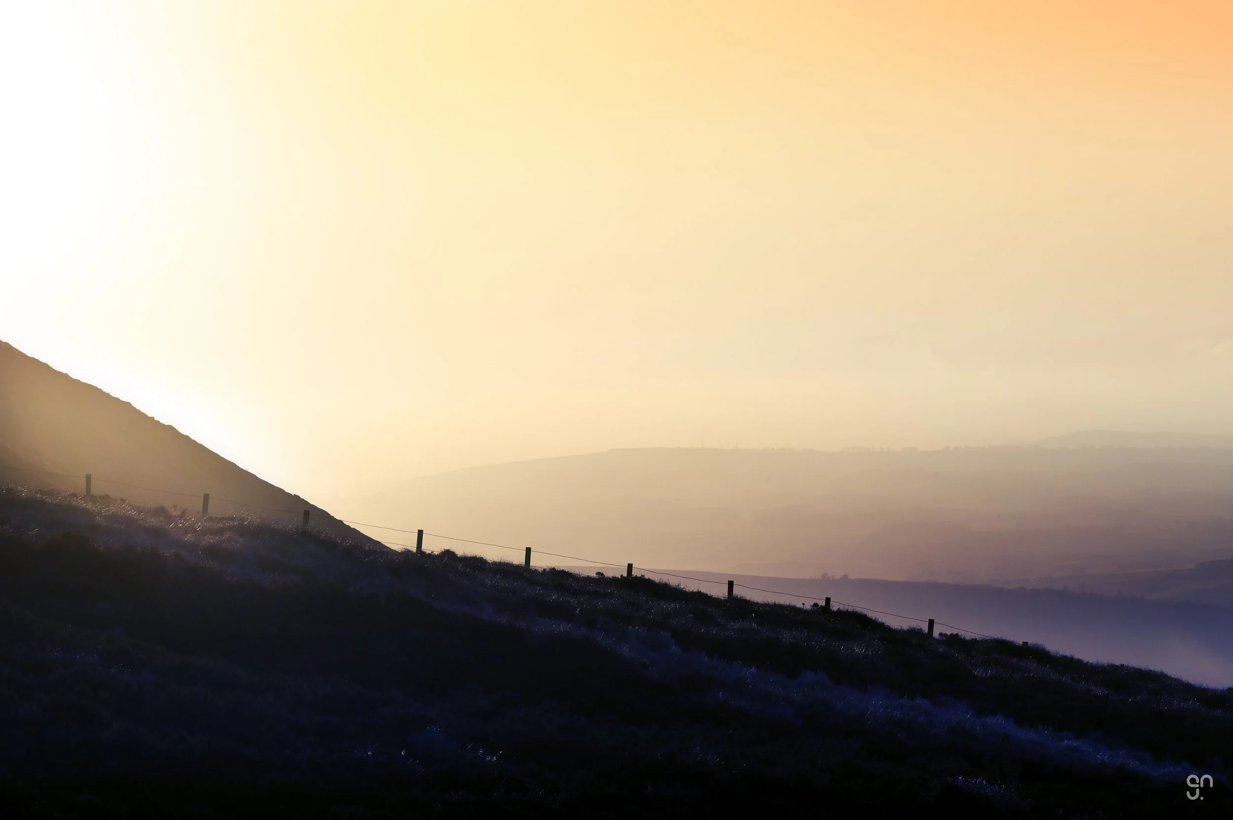 DSC_7495-Edit copy.jpg