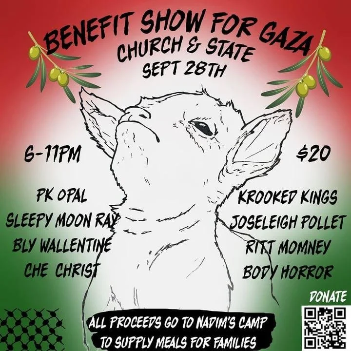 Gaza Benefit Show
