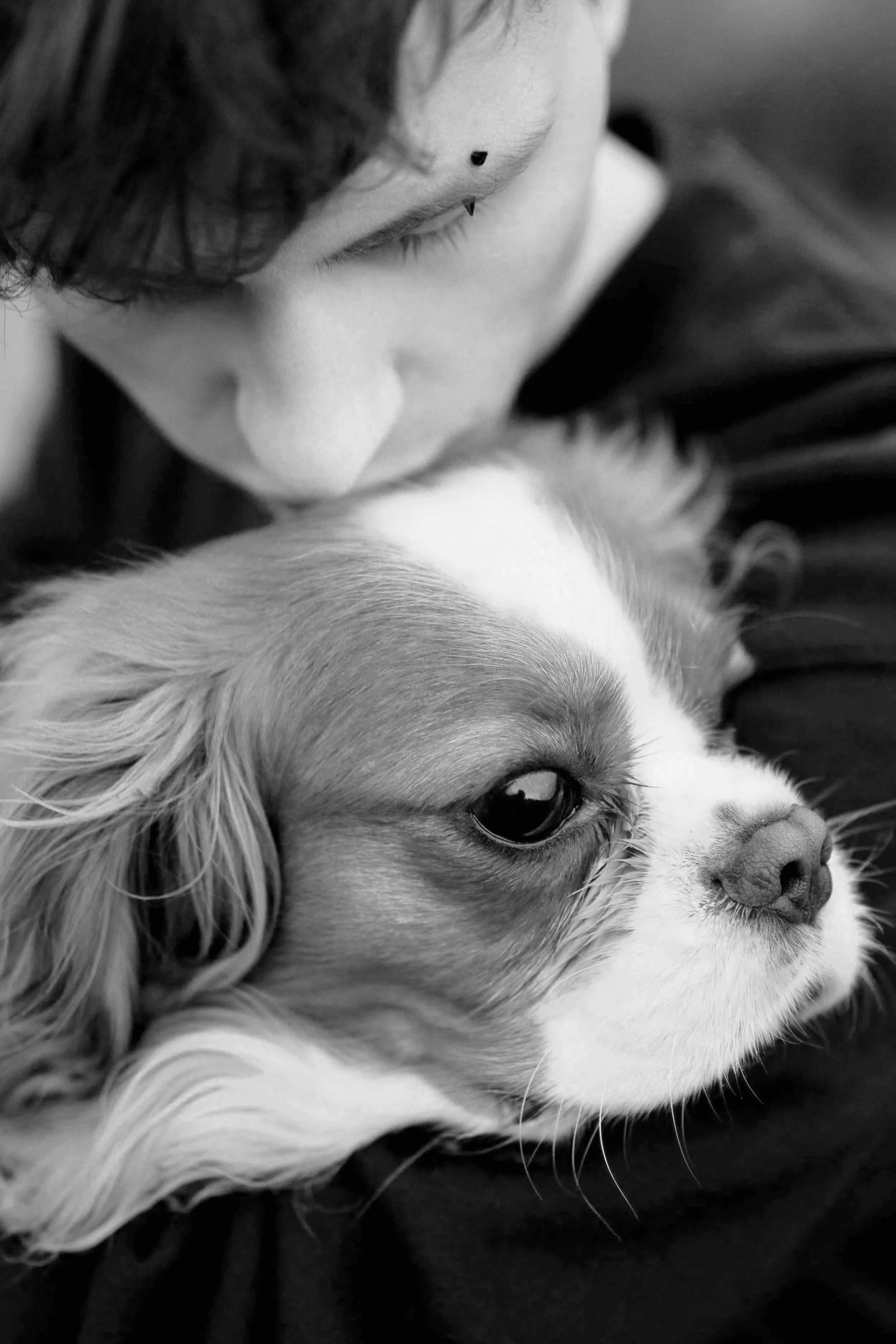Young man with black hair and an eyebrow ring kissing a dog on their head Night Paws kind, peaceful, professional, affordable, in home euthanasia by knowledgeable veterinarian