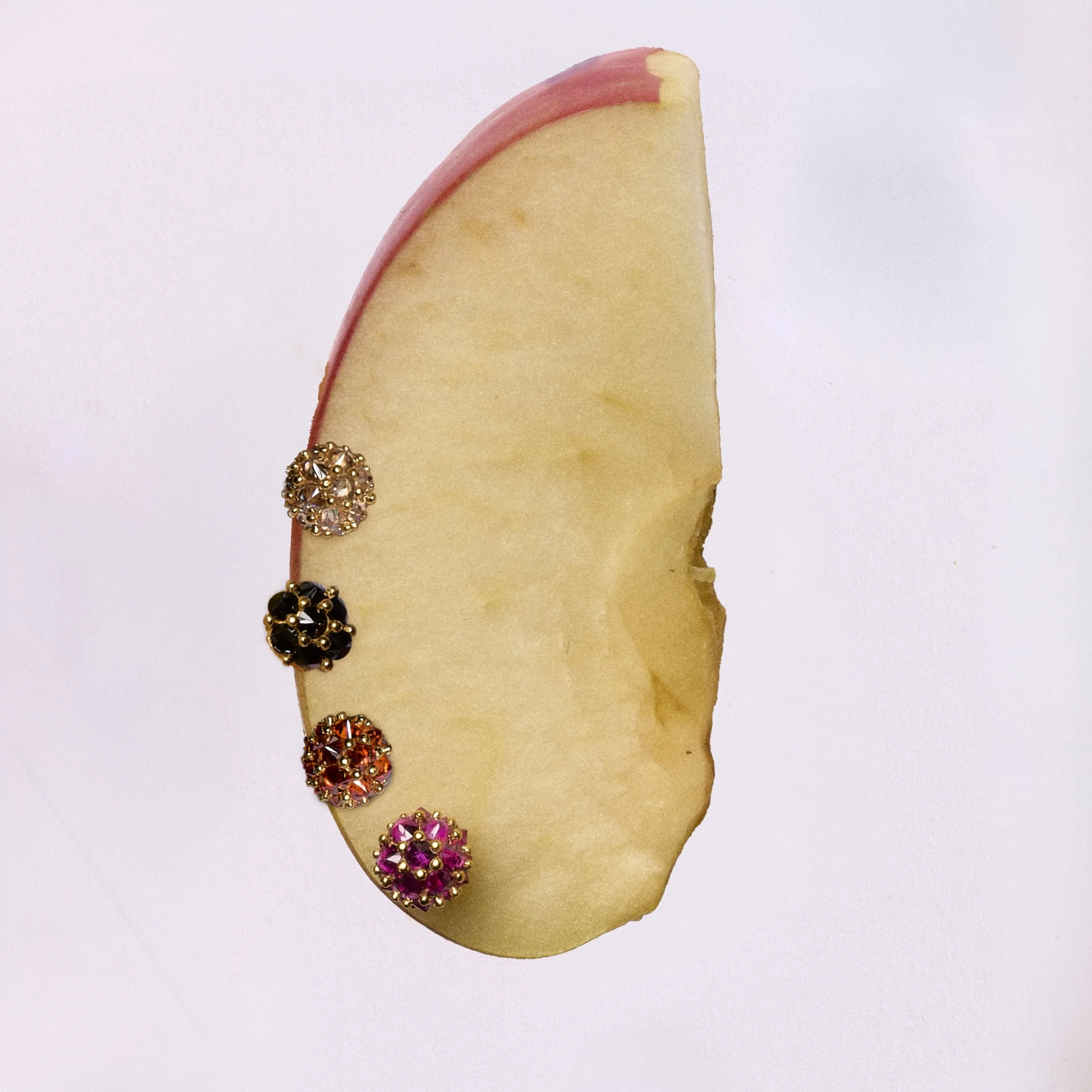 FRUIT708427 1.jpg