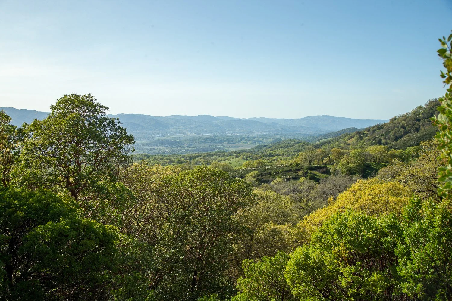 7011 Mill Creek Rd, Ukiah - Real Estate Property Video