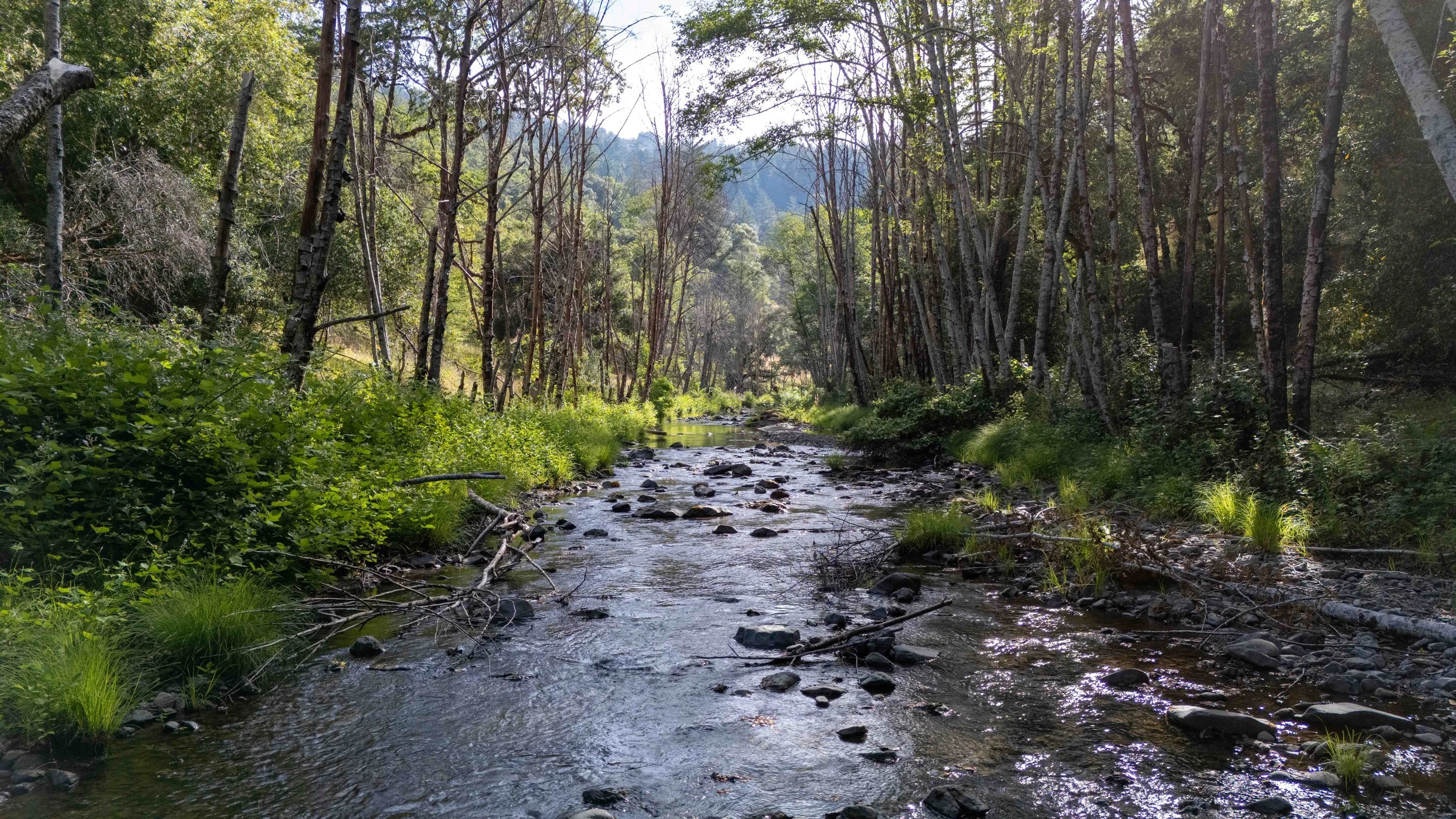 Beautiful Geyserville, CA Property - Real Estate Property Video