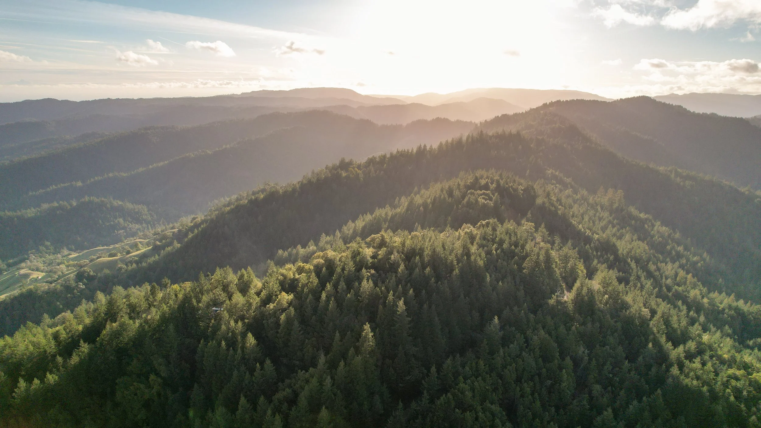 DJI_0239.jpg