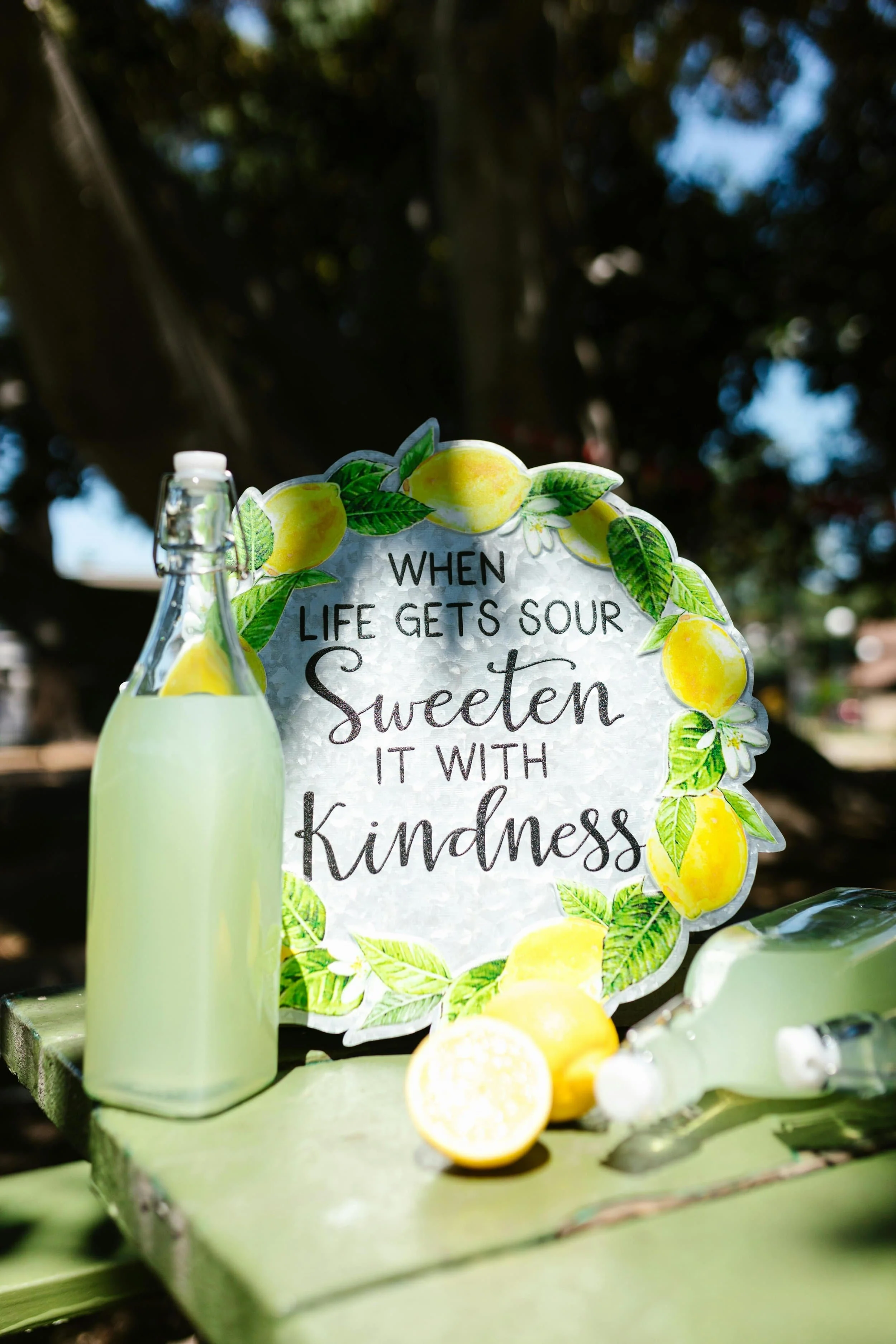 A Cry Out for Kindness: Creating Peace in the World