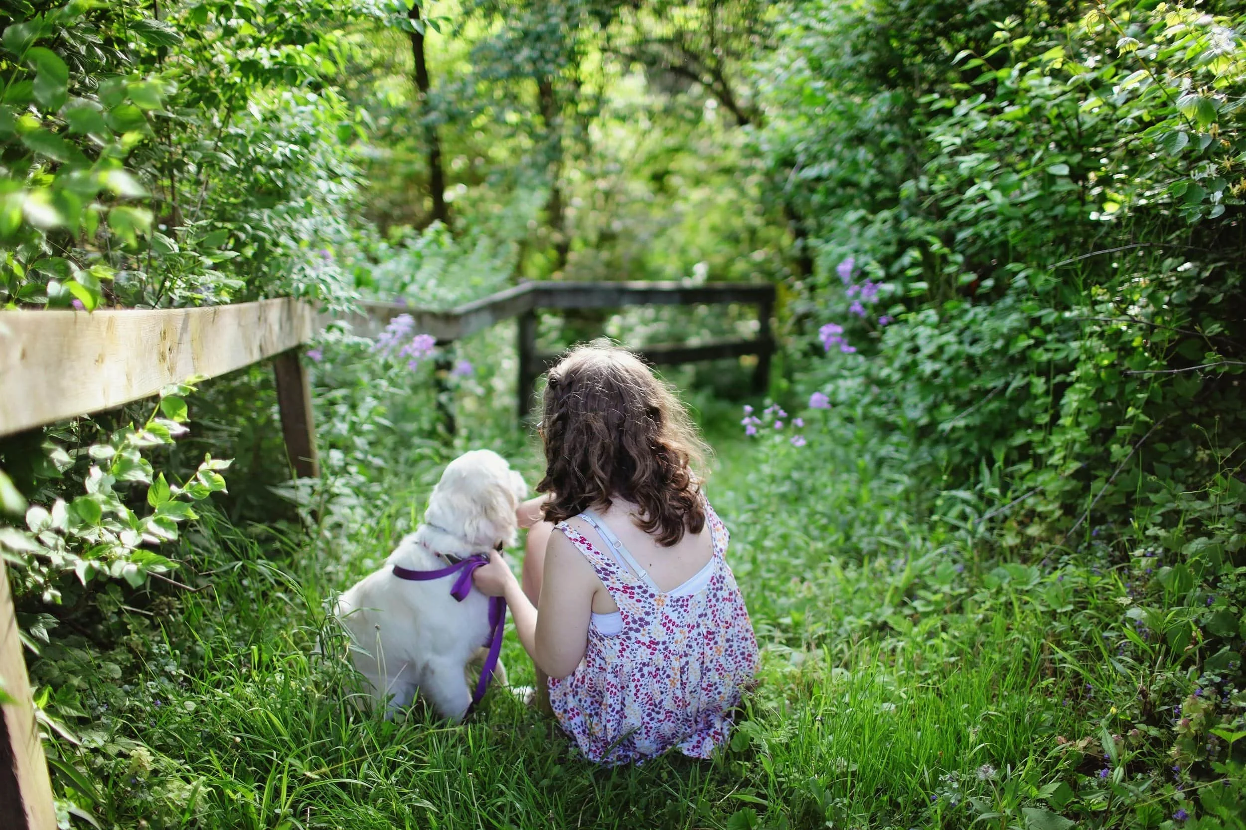 A young girl with curly hair, wearing a floral dress, sitting on grass in a green, wooded area with a woman and a white dog wearing a purple harness nearby.