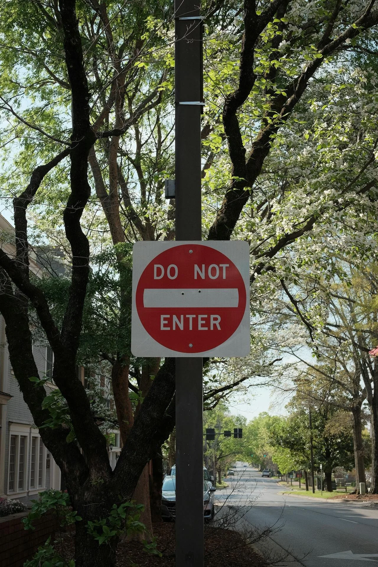 Do Not Enter Street Sign by some trees on a path