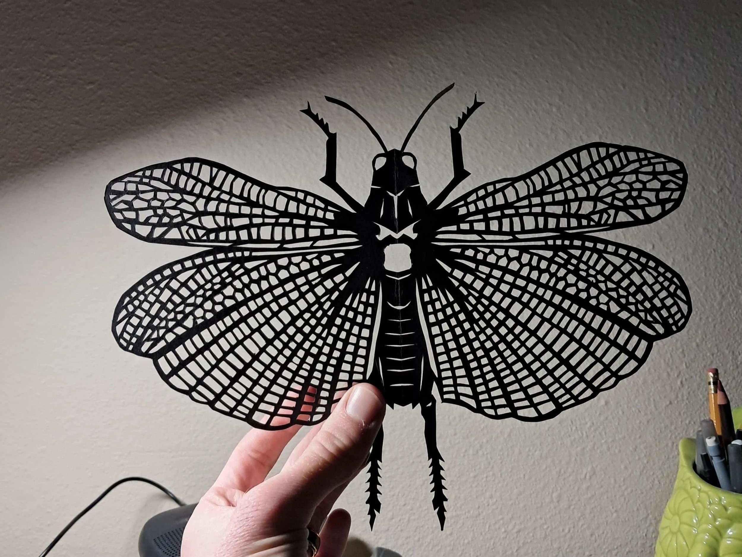 A black paper cutout of a dragonfly being held by a person's hand.
