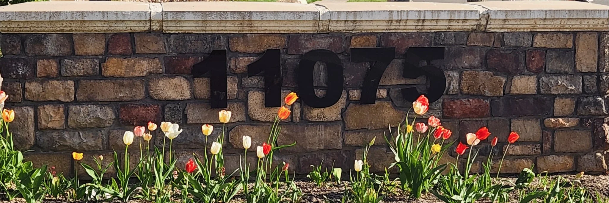 Stone wall with the number "11075" prominently displayed, surrounded by vibrant tulips in various colors.