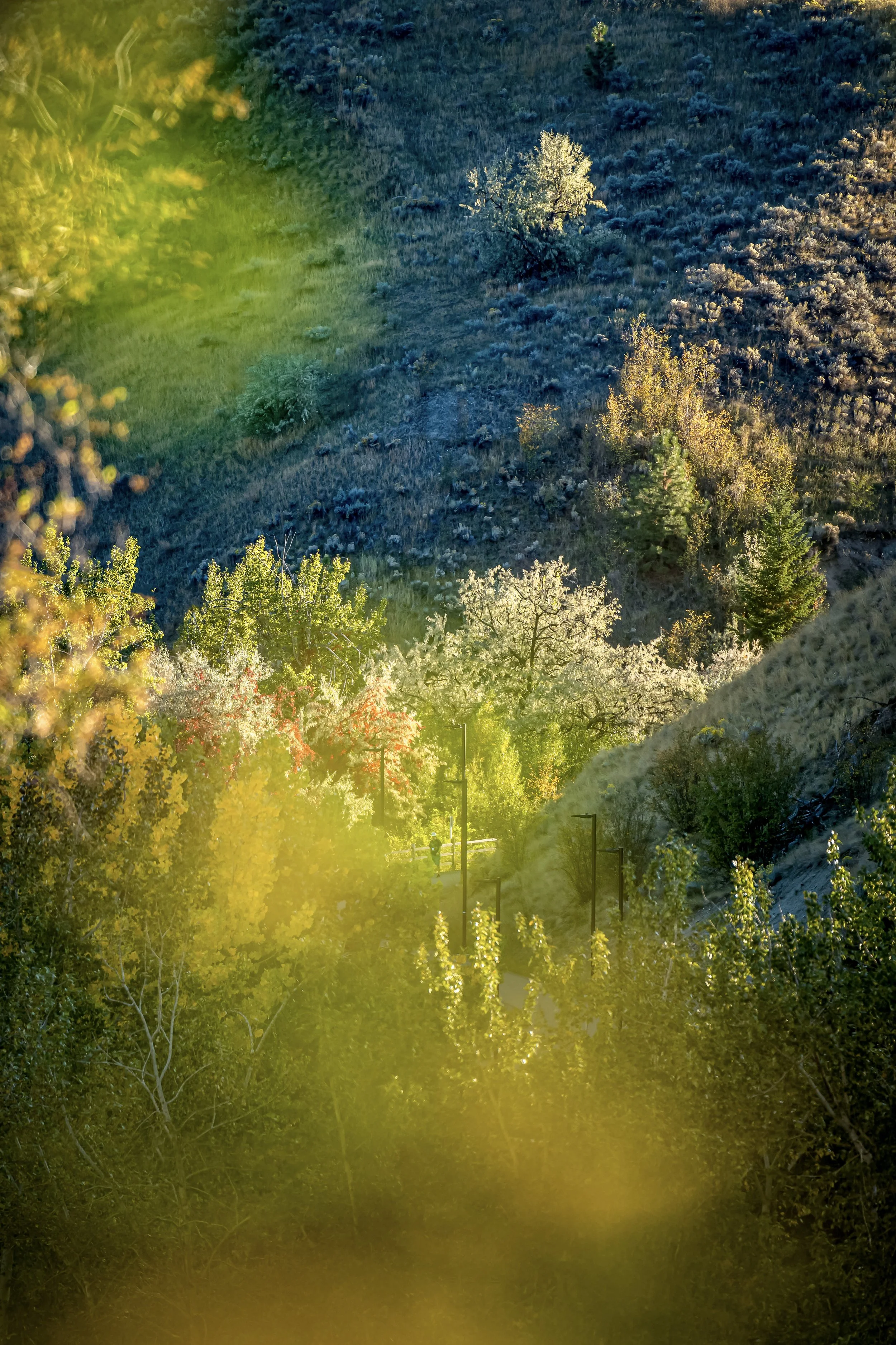 311-20211003-WML06151-Edit.jpg