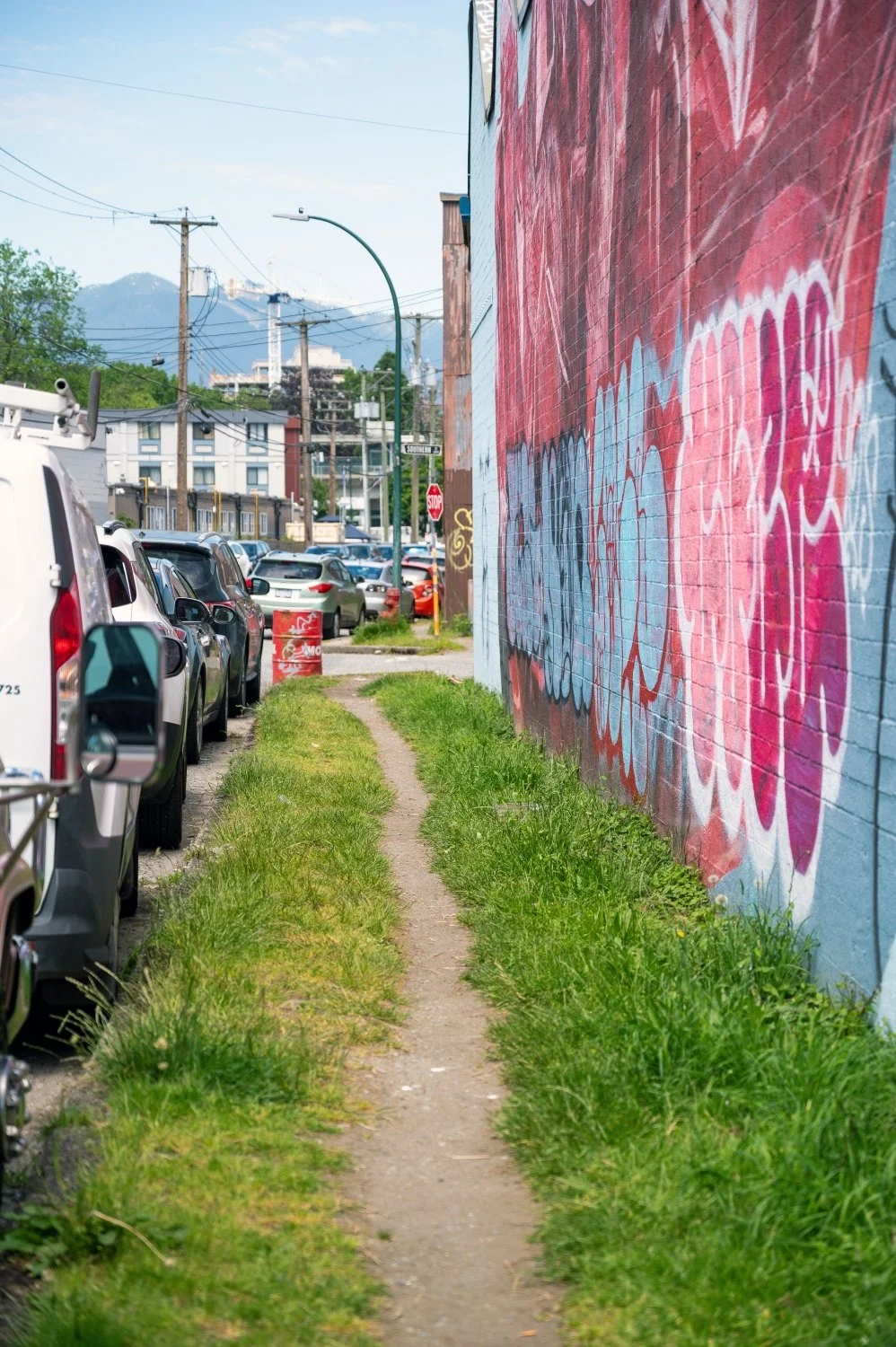 20250528-DSC_0089 (Custom).jpg