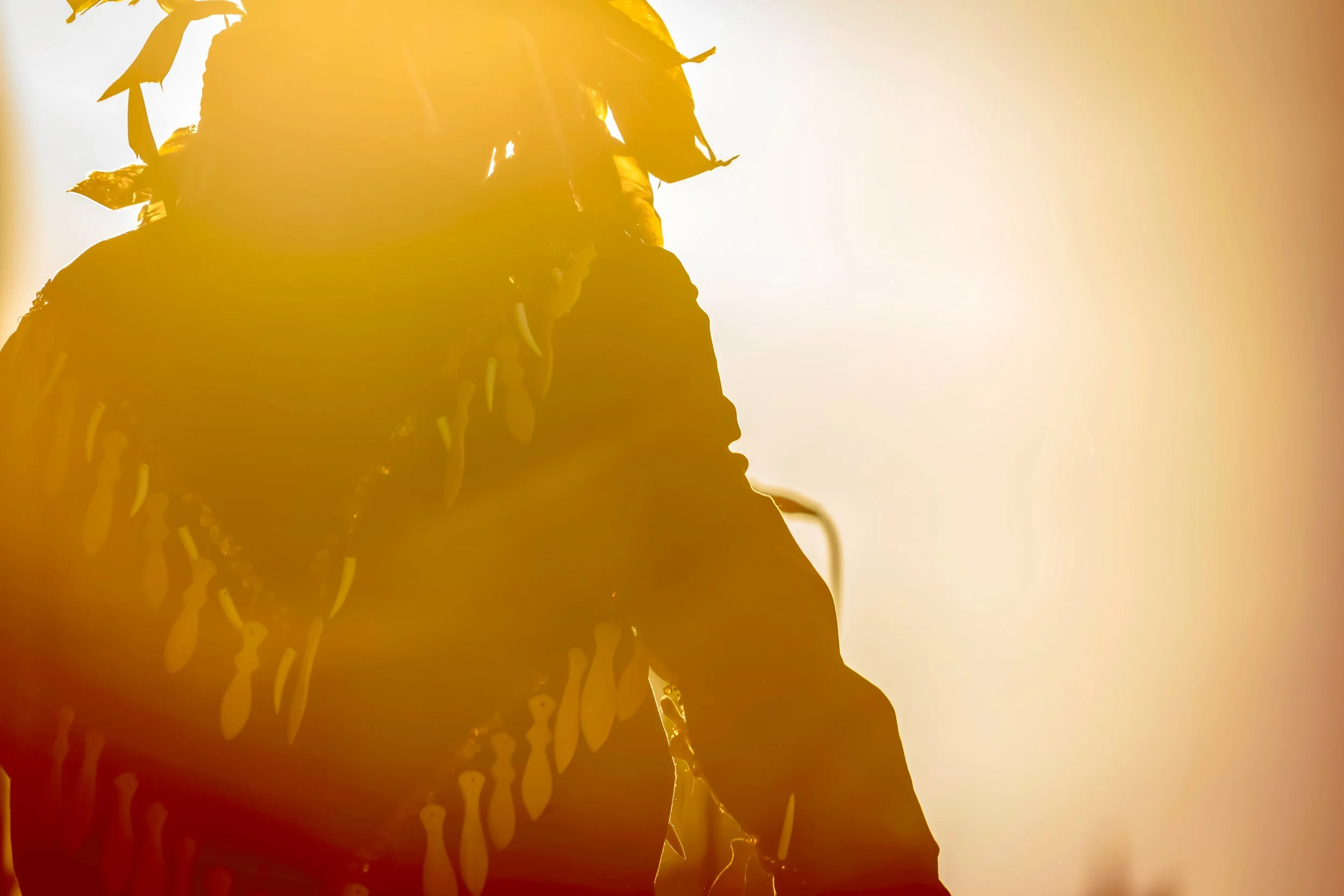RESTRICTED-ASK-20180621-NIPD-WML-1502-edit.jpg