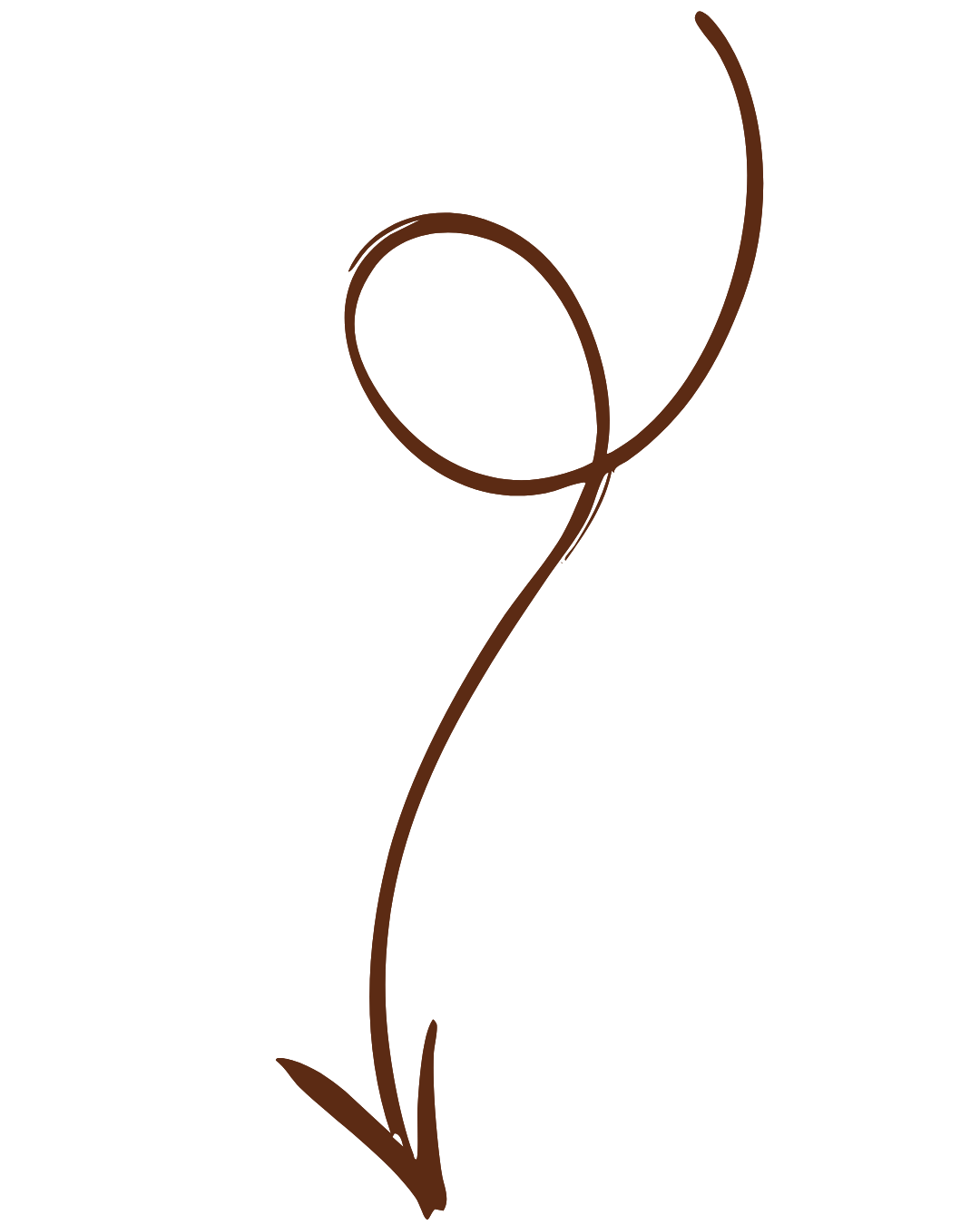 Hand-drawn brown flower with a curved stem and a single circular bloom.