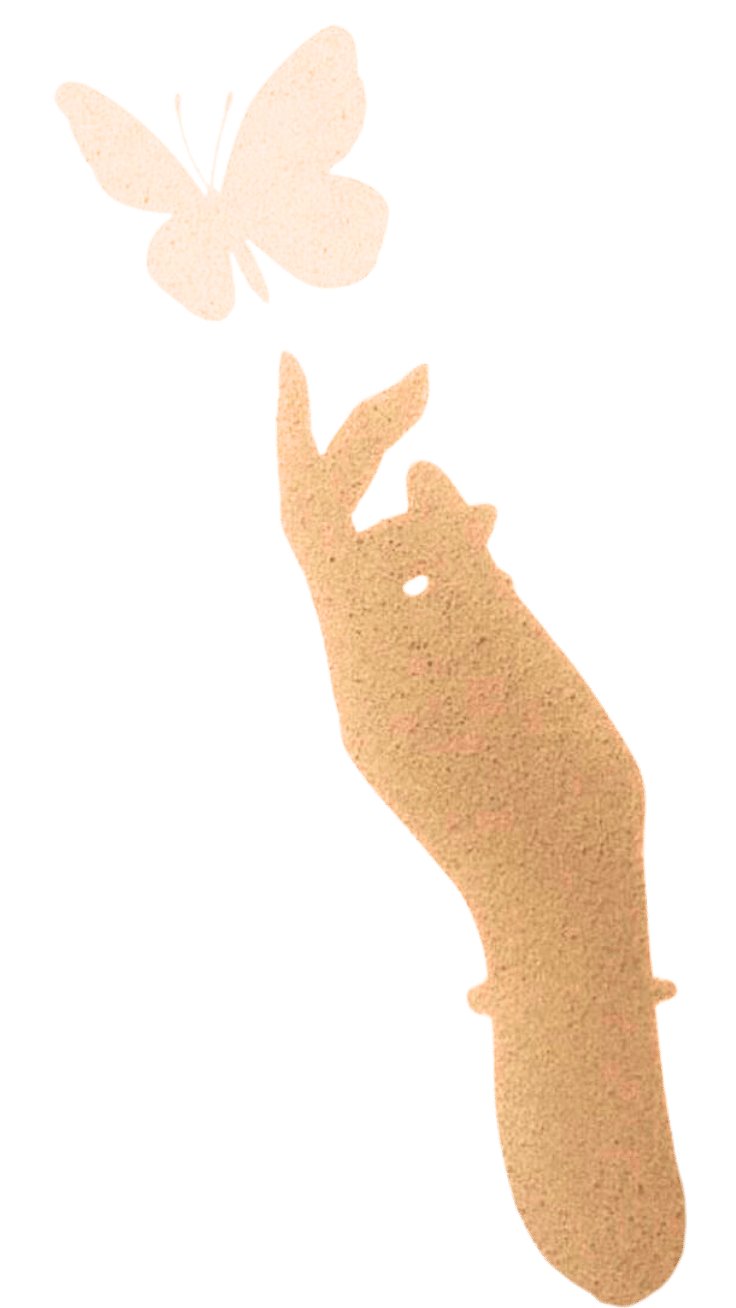 A hand reaching toward a butterfly.