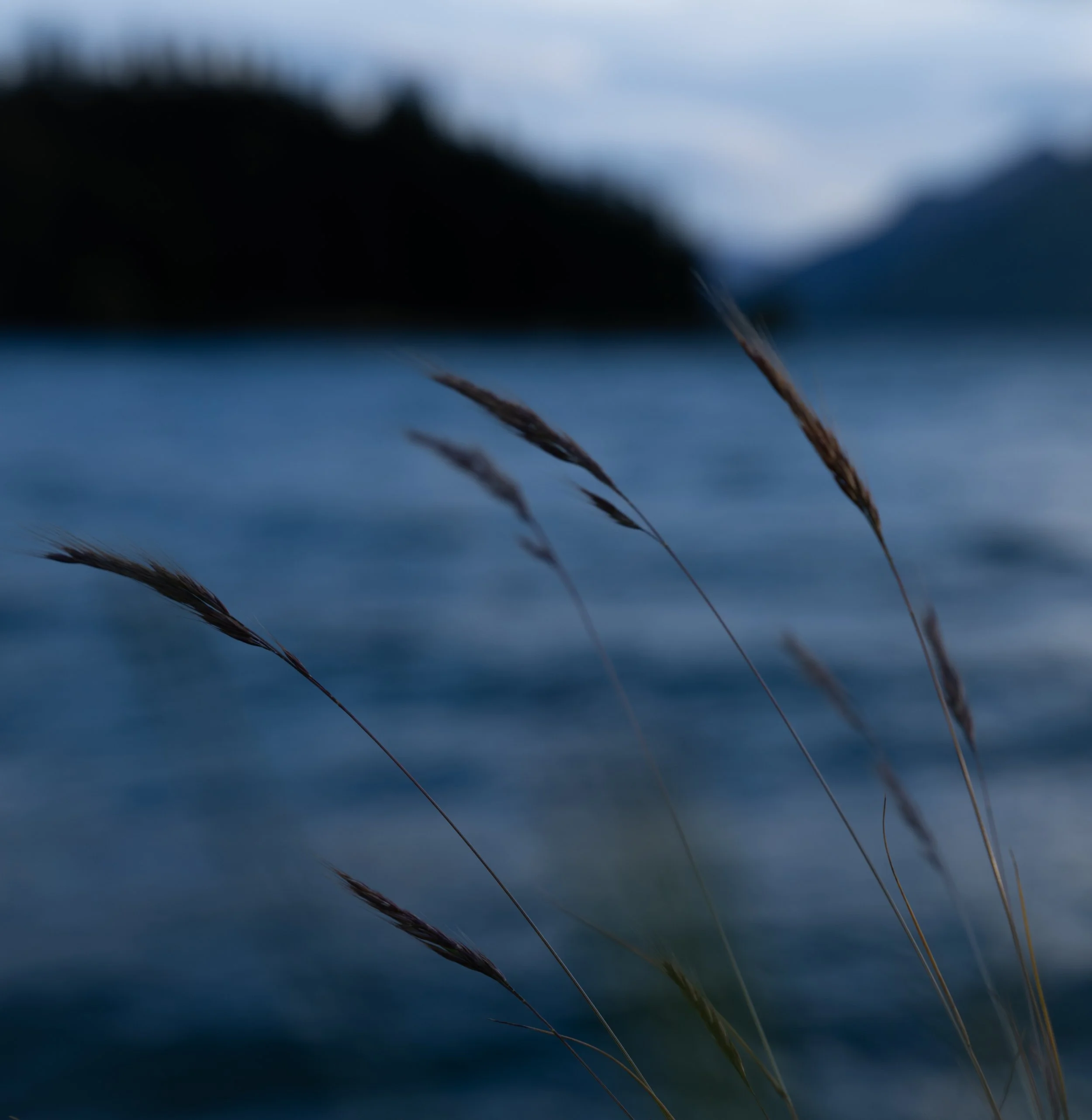 Bathhouse Queenstown v2-23.jpg