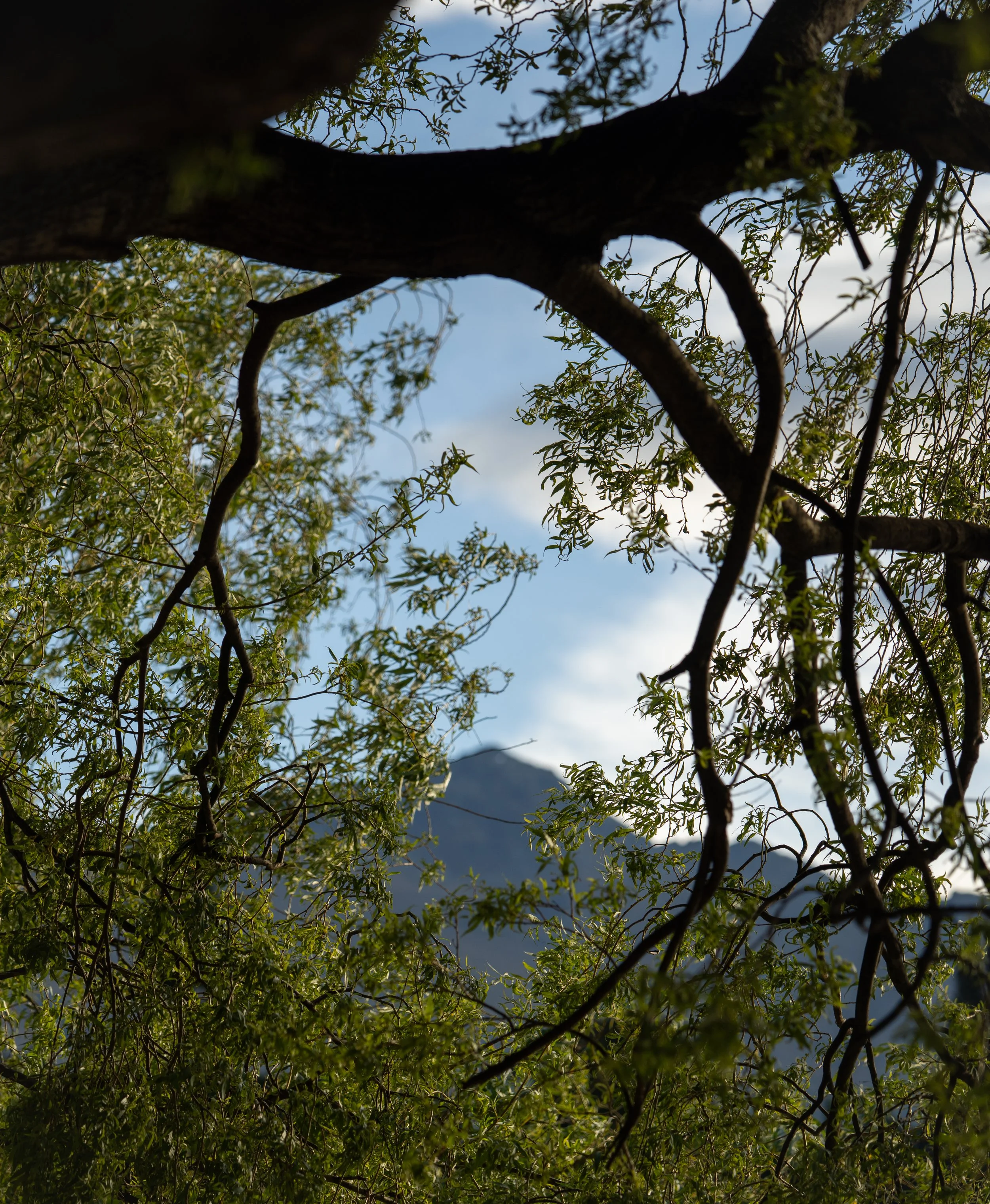 Bathhouse Queenstown v2-11.jpg