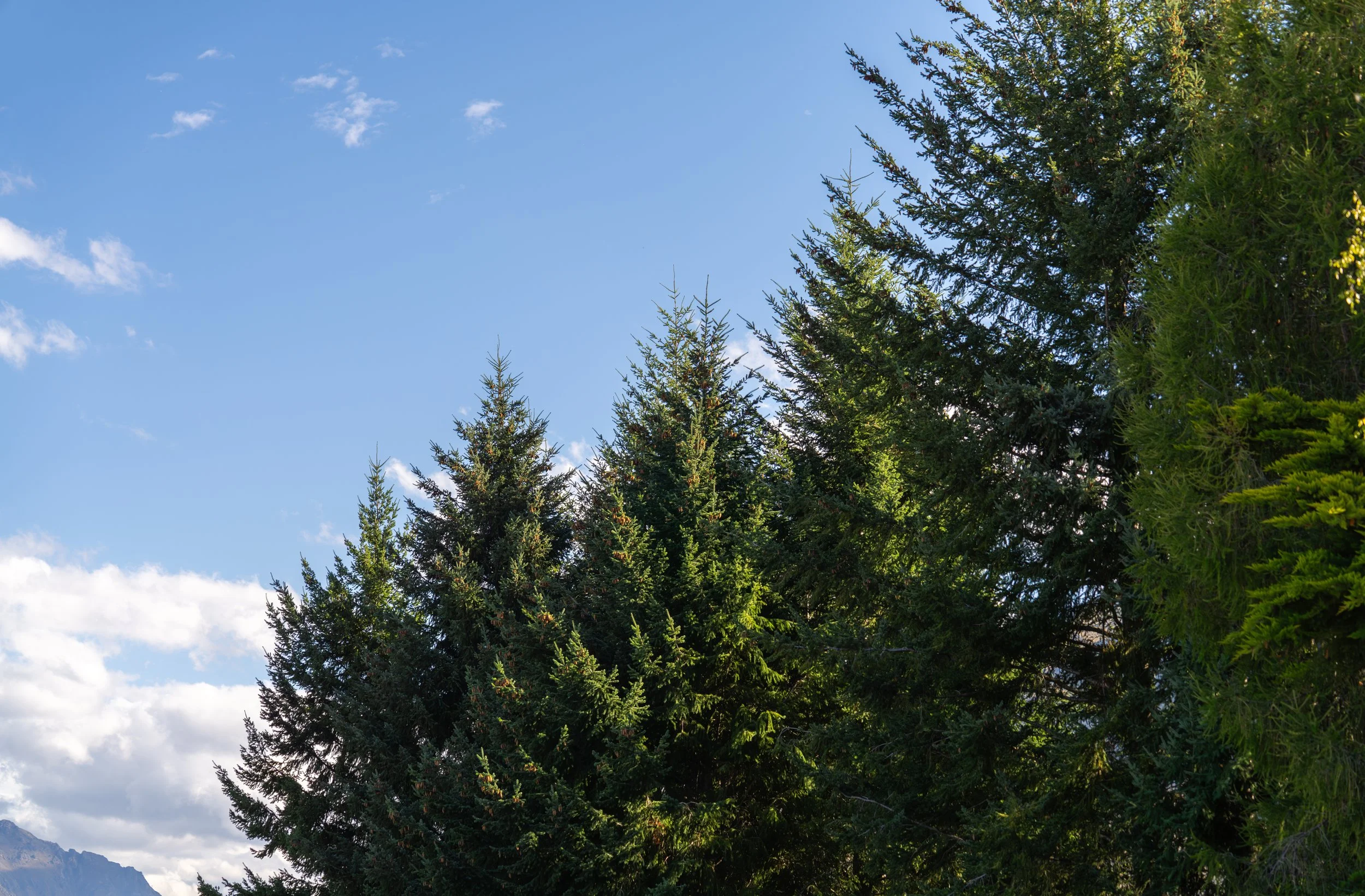 CRR March Content-20.jpeg