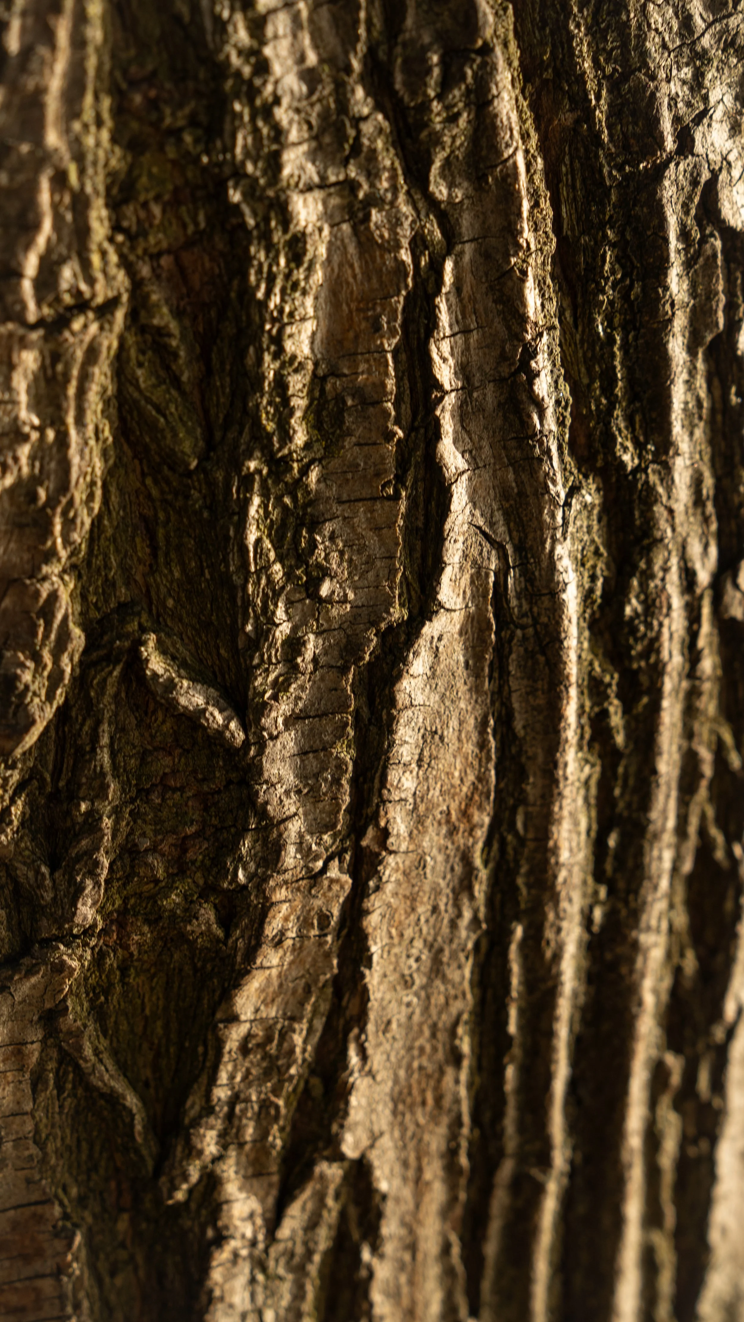 Bathhouse Queenstown v2-18.jpg