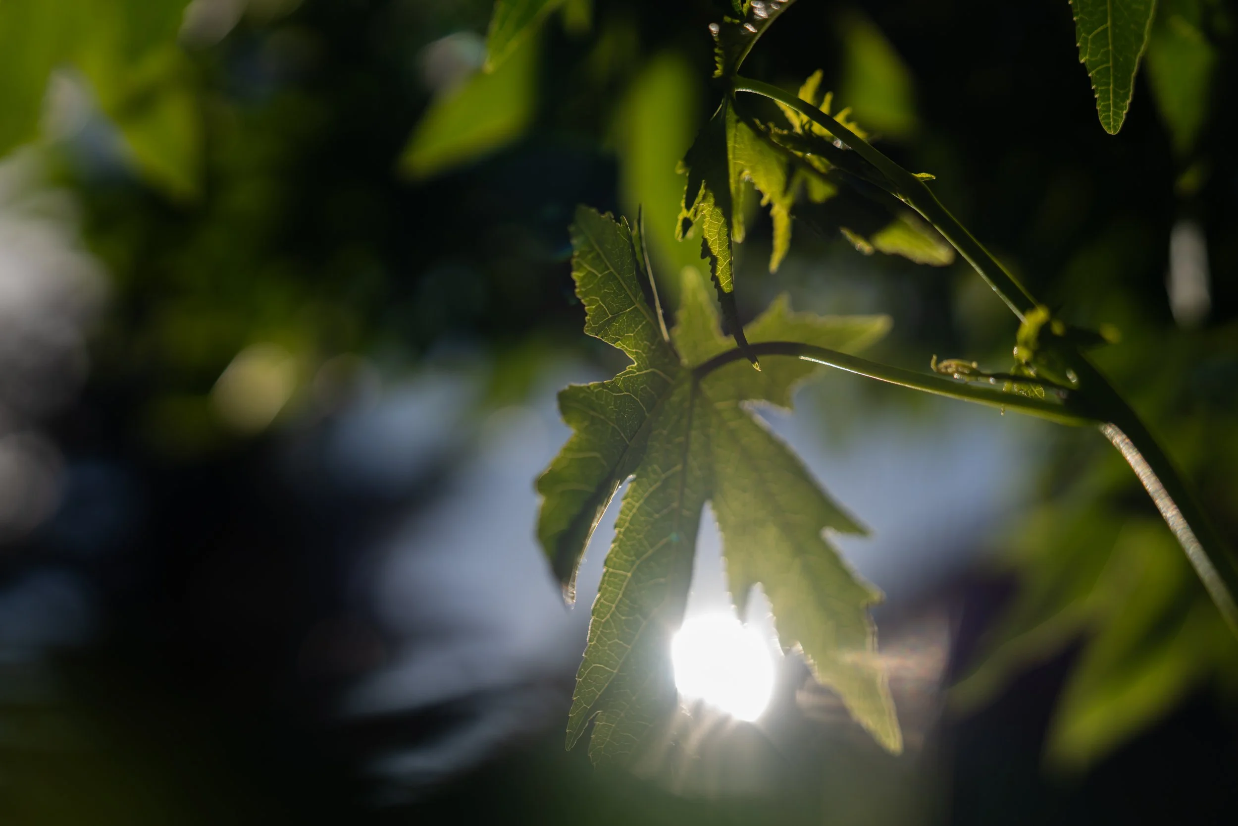 Bathhouse Queenstown v2-06.jpg