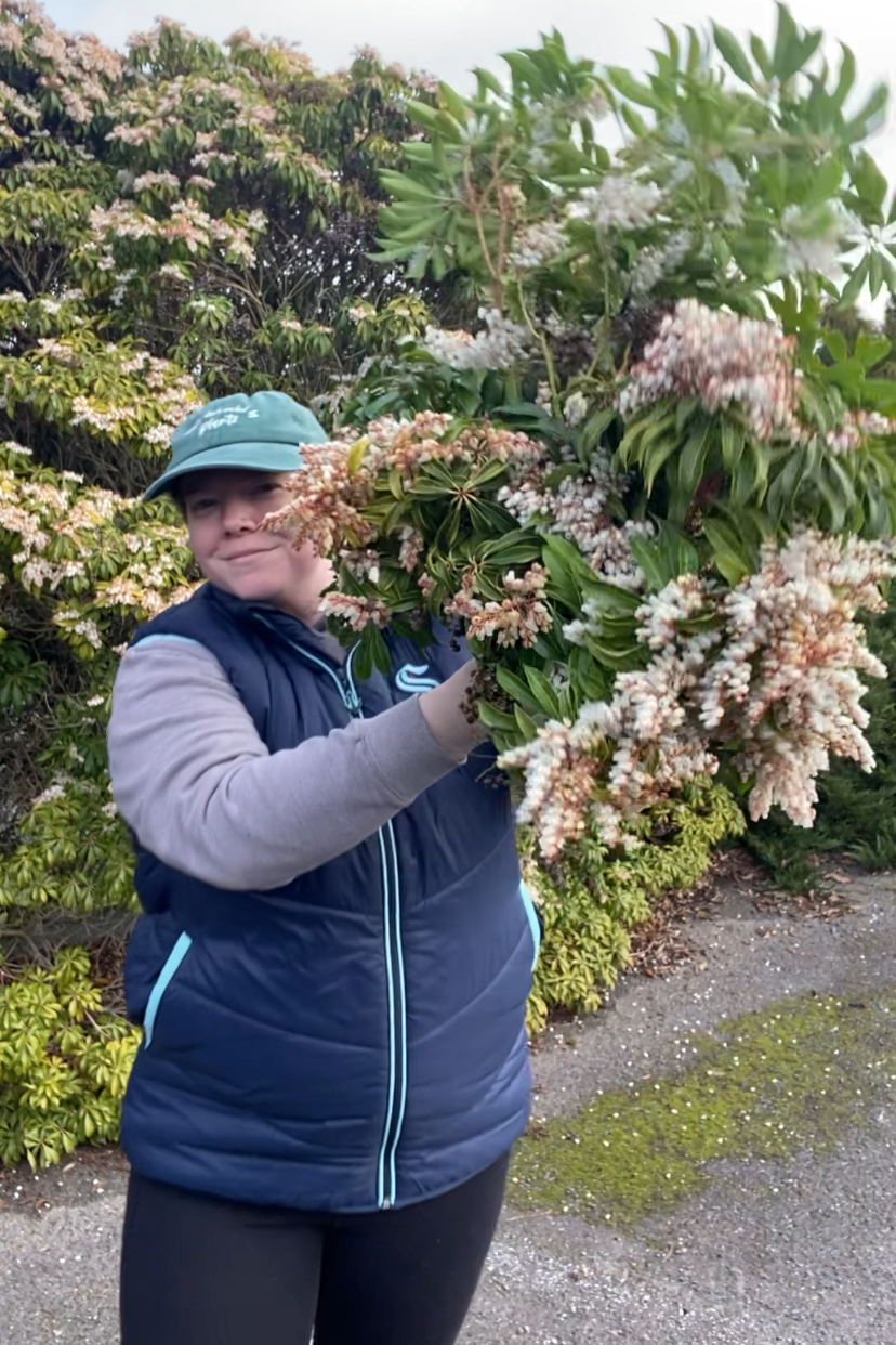 Foraging in Floral Design