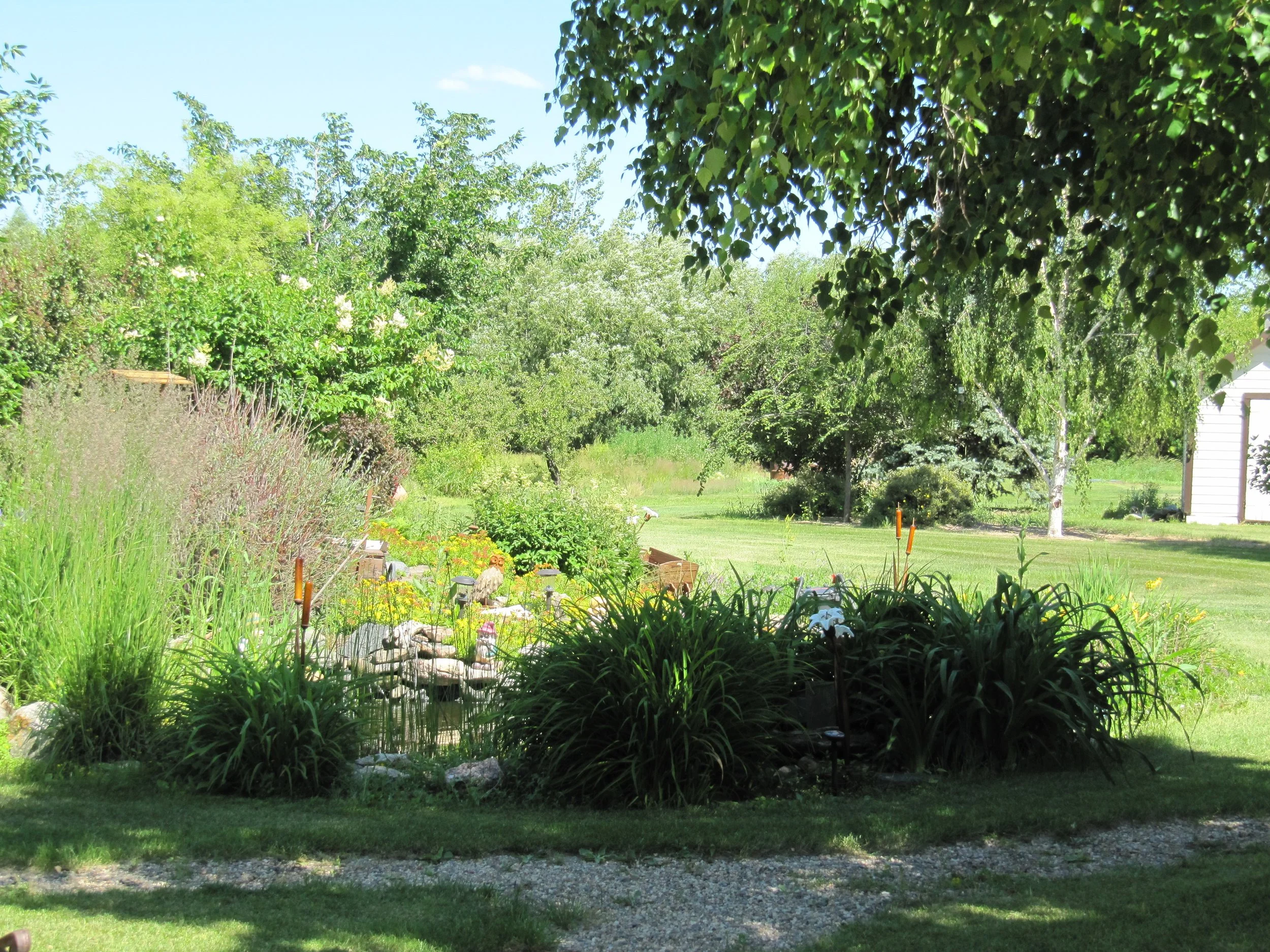 Peaceful pond surrounded by green grass and mature trees