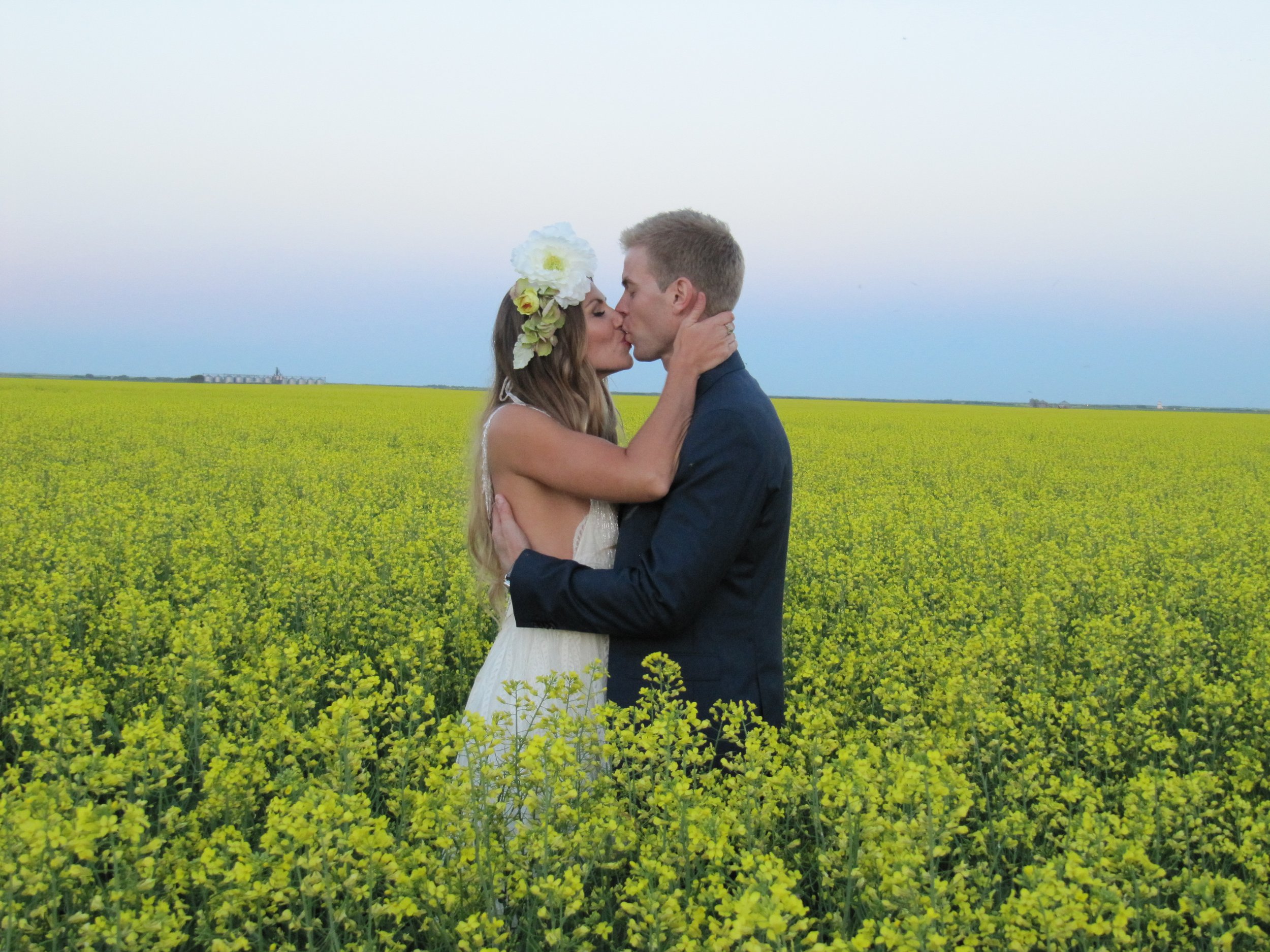 Bride and groom sharing a kiss in a canola field